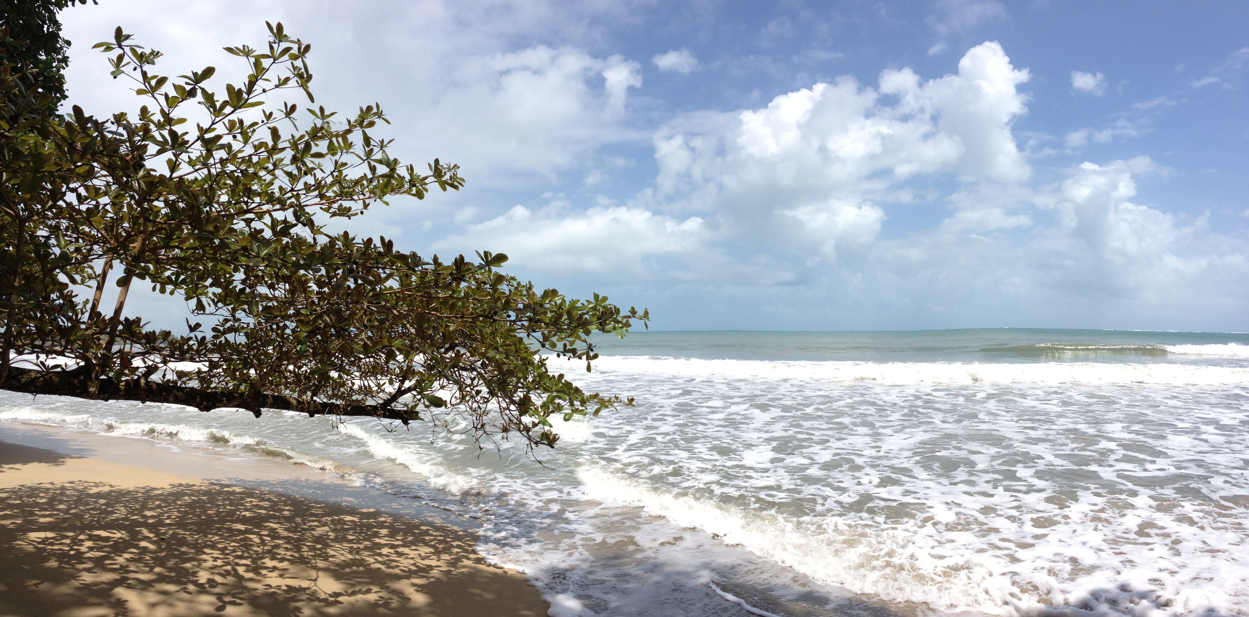 รูปถ่าย คอสตาริกา(Costa Rica) กาอุยตา(Cahuita) 2015-03 177