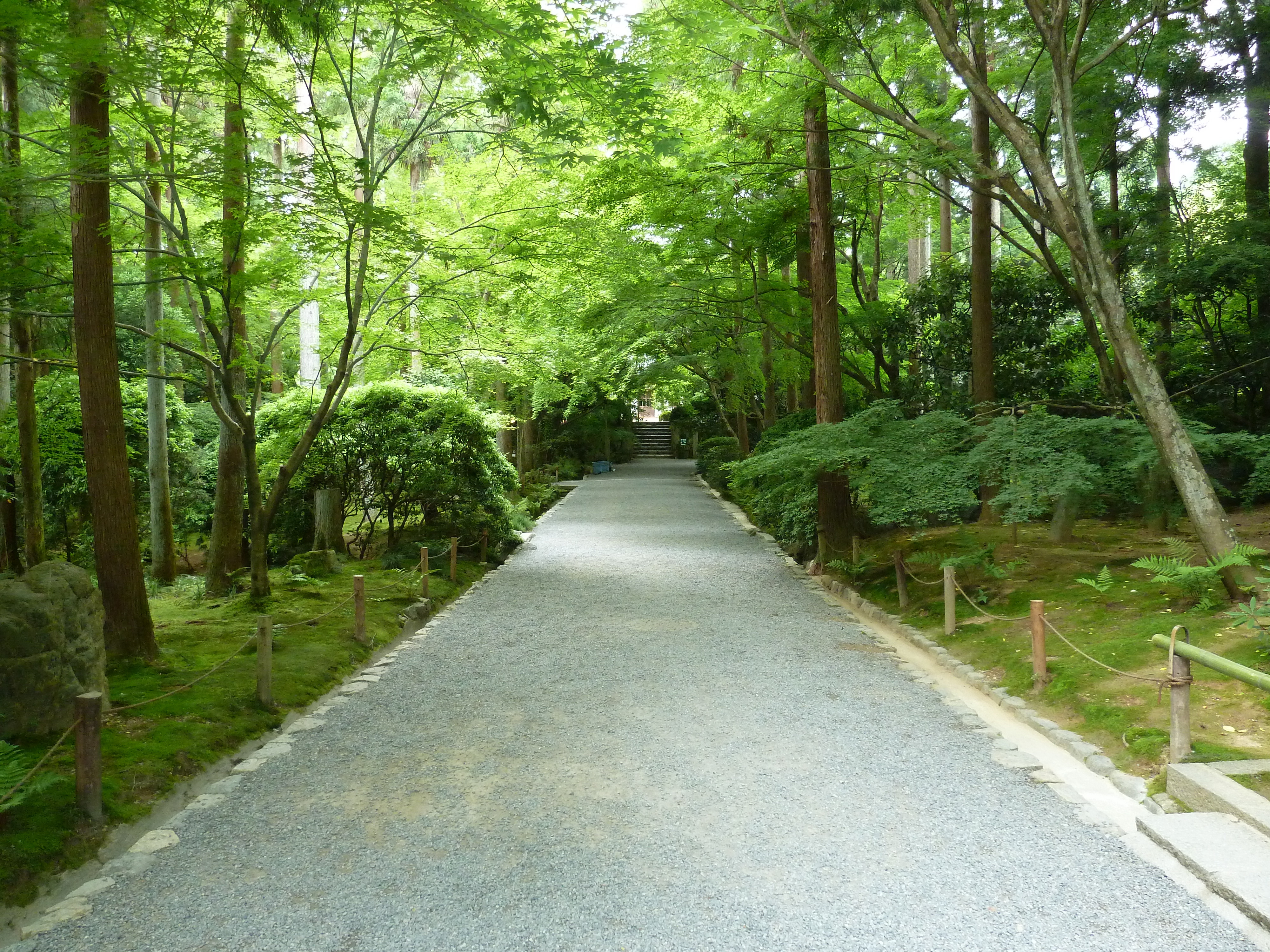 รูปถ่าย ญี่ปุ่น(Japan) เกียวโต(Kyoto) วัดเรียวอันจิ(Ryoanji Temple) 2010-06 50