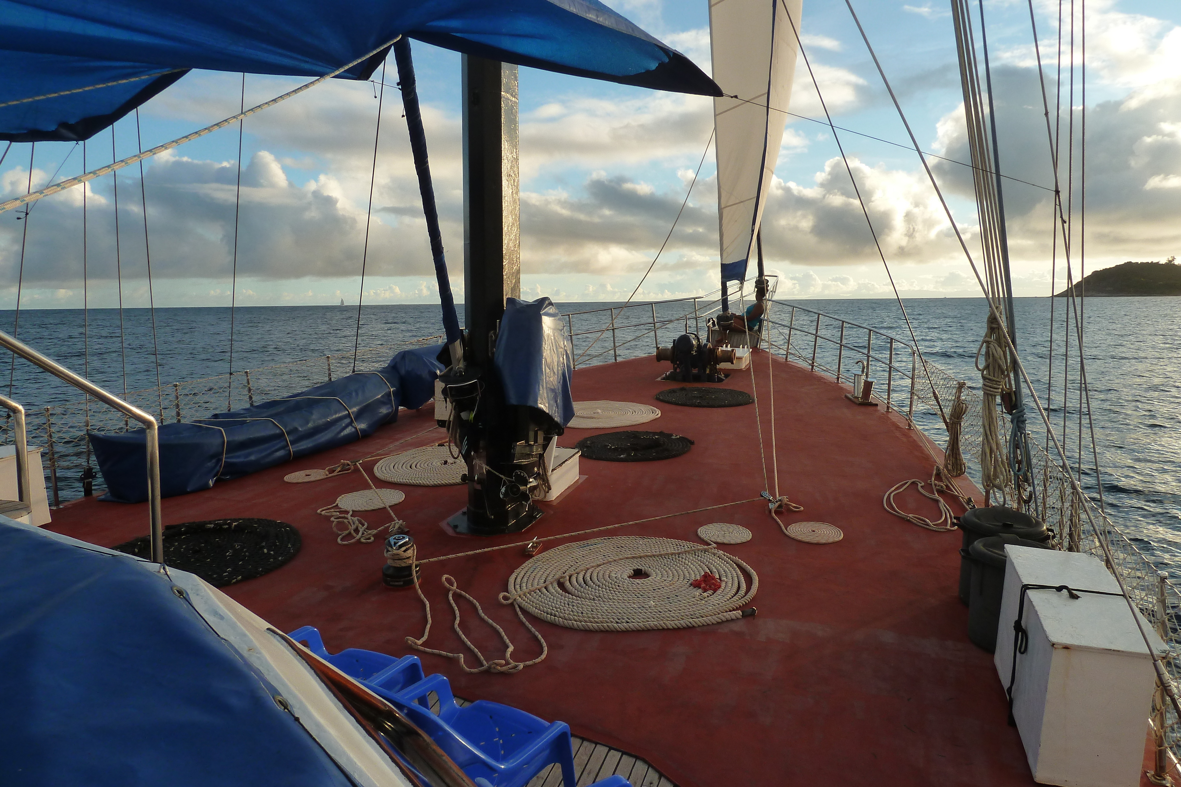 รูปถ่าย เซเชลส์(Seychelles) ซีสตาร์(Sea Star) 2011-10 18