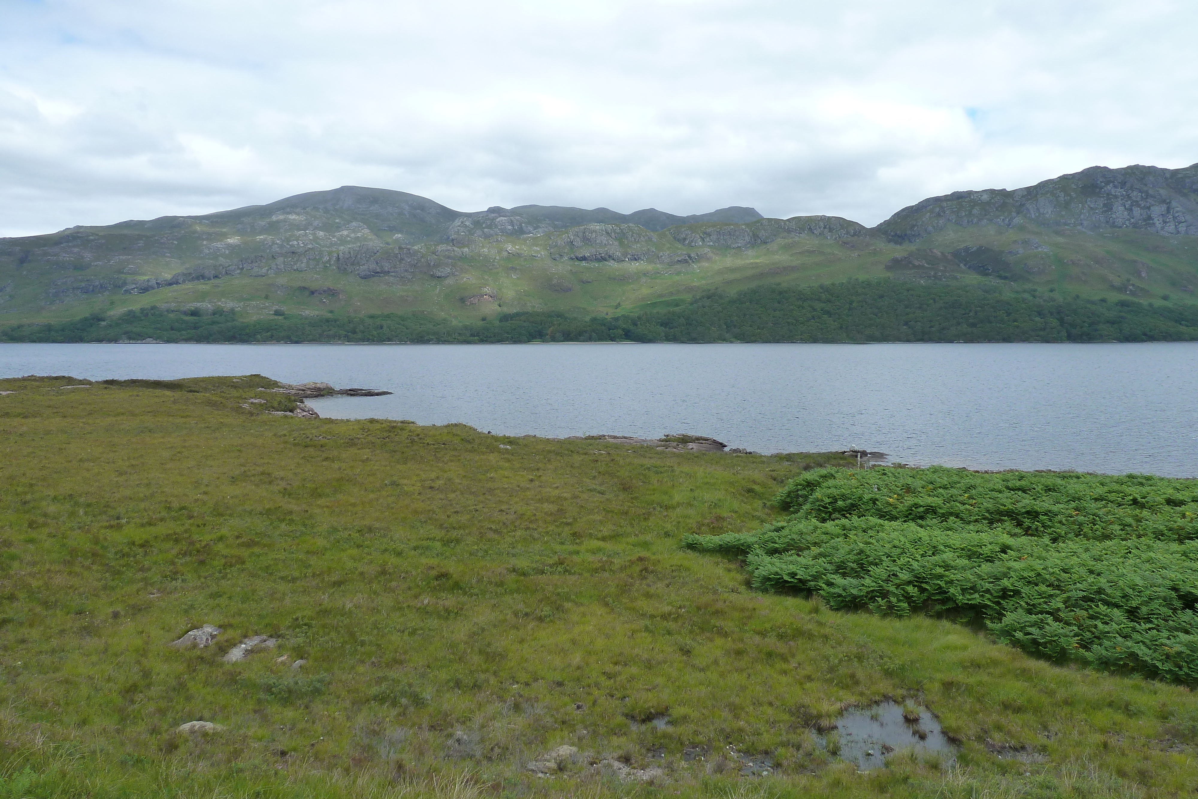 รูปถ่าย อังกฤษ(United Kingdom) สกอตแลนด์(Scotland) ทะเลสาบลอคมารี(Loch Maree) 2011-07 18