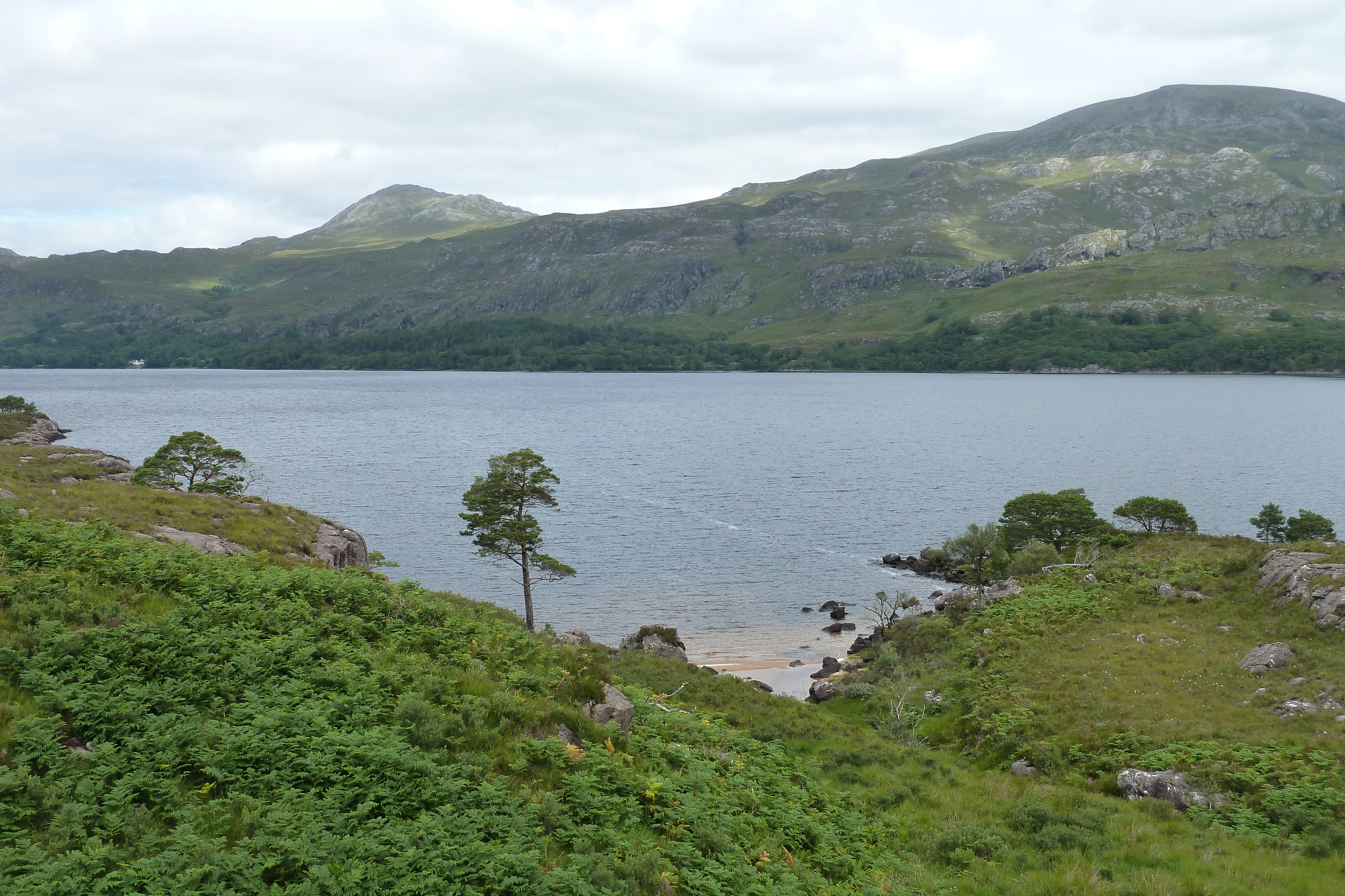 รูปถ่าย อังกฤษ(United Kingdom) สกอตแลนด์(Scotland) ทะเลสาบลอคมารี(Loch Maree) 2011-07 6