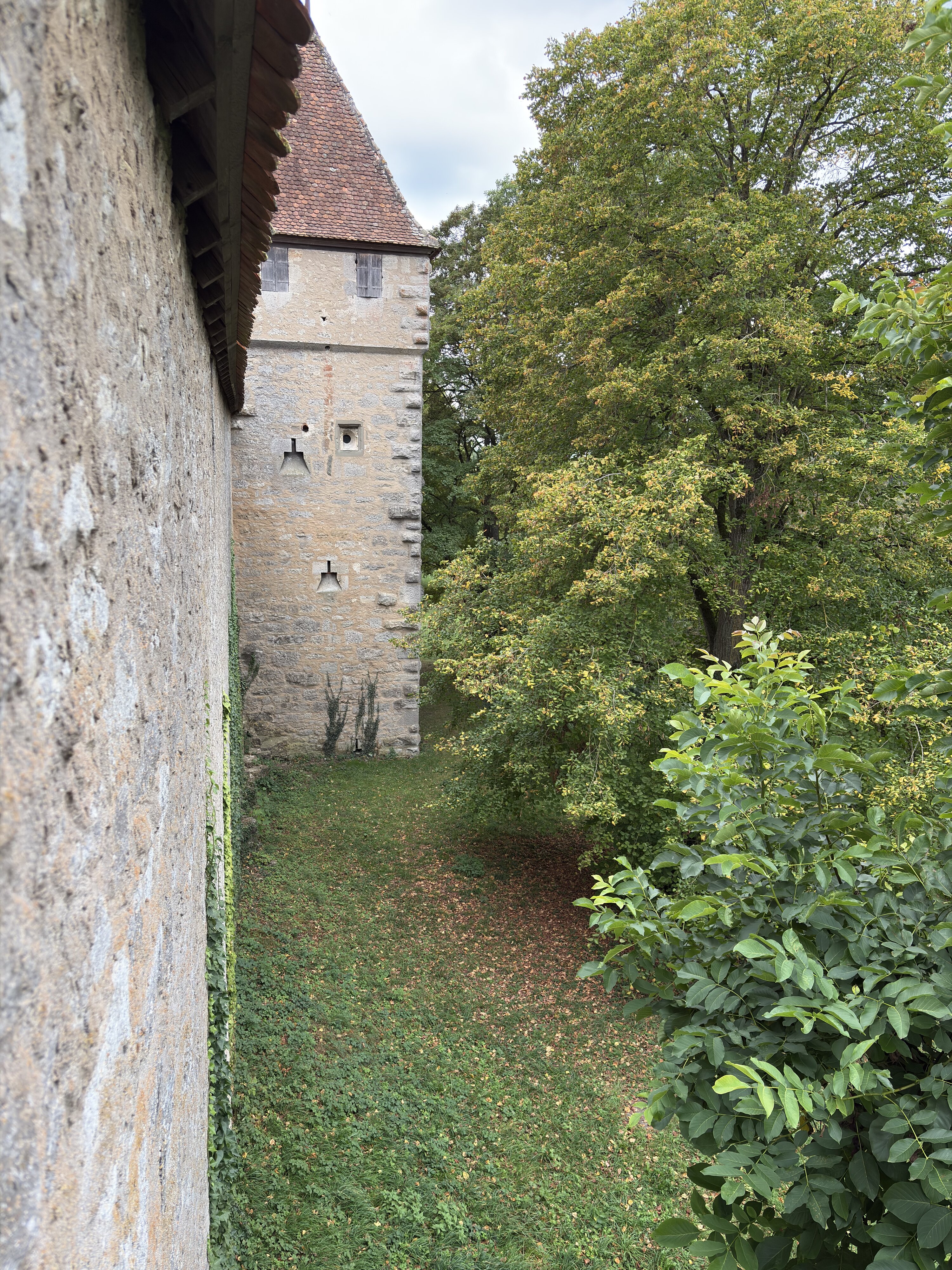รูปถ่าย เยอรมนี(Germany) โรเทินบวร์กโอบแดร์เทาเบอร์(Rothenburg ob der Tauber) 2025-09 29