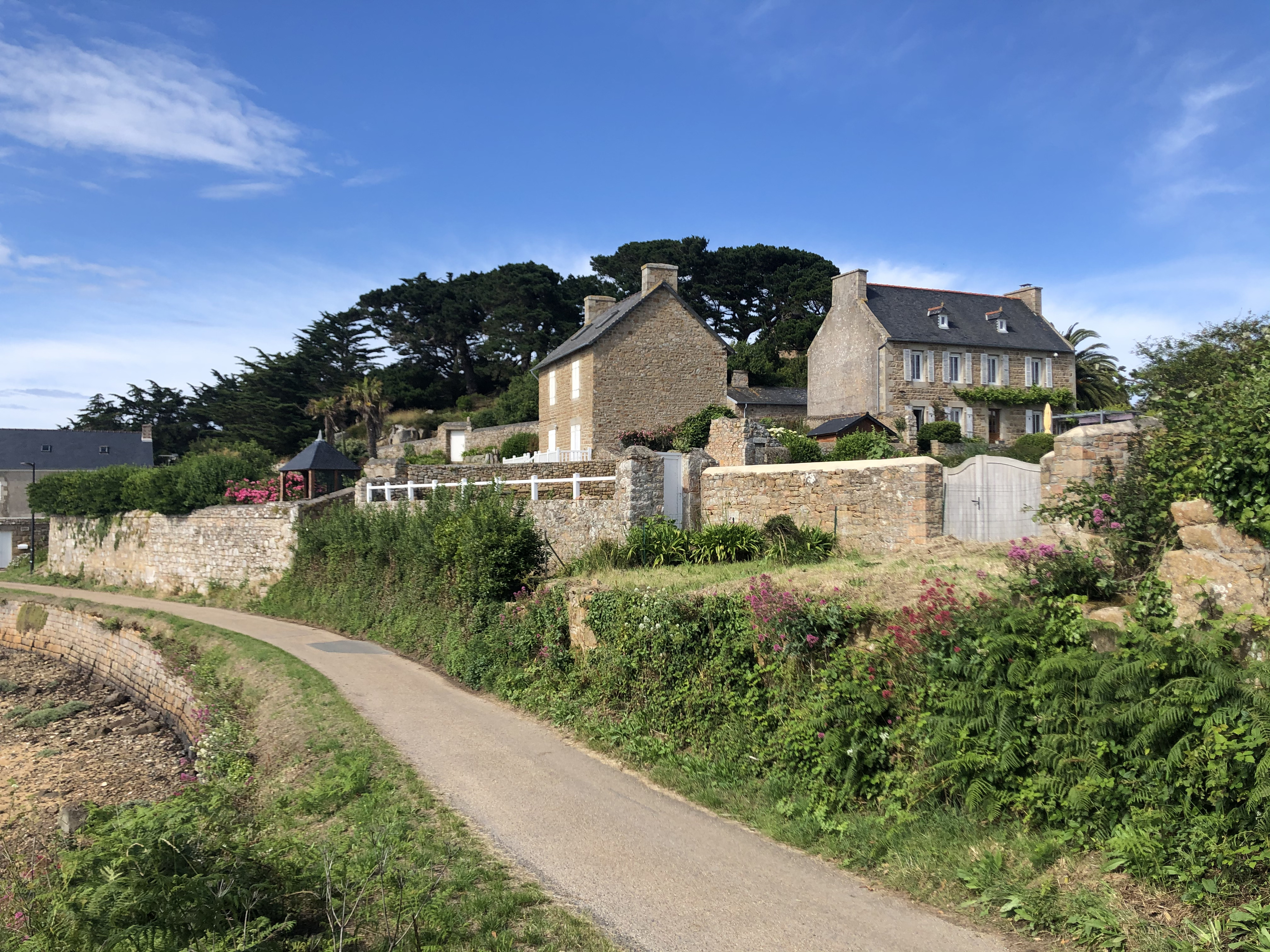 รูปถ่าย ฝรั่งเศส(France) เกาะเบรอา(Brehat Island) 2020-06 40