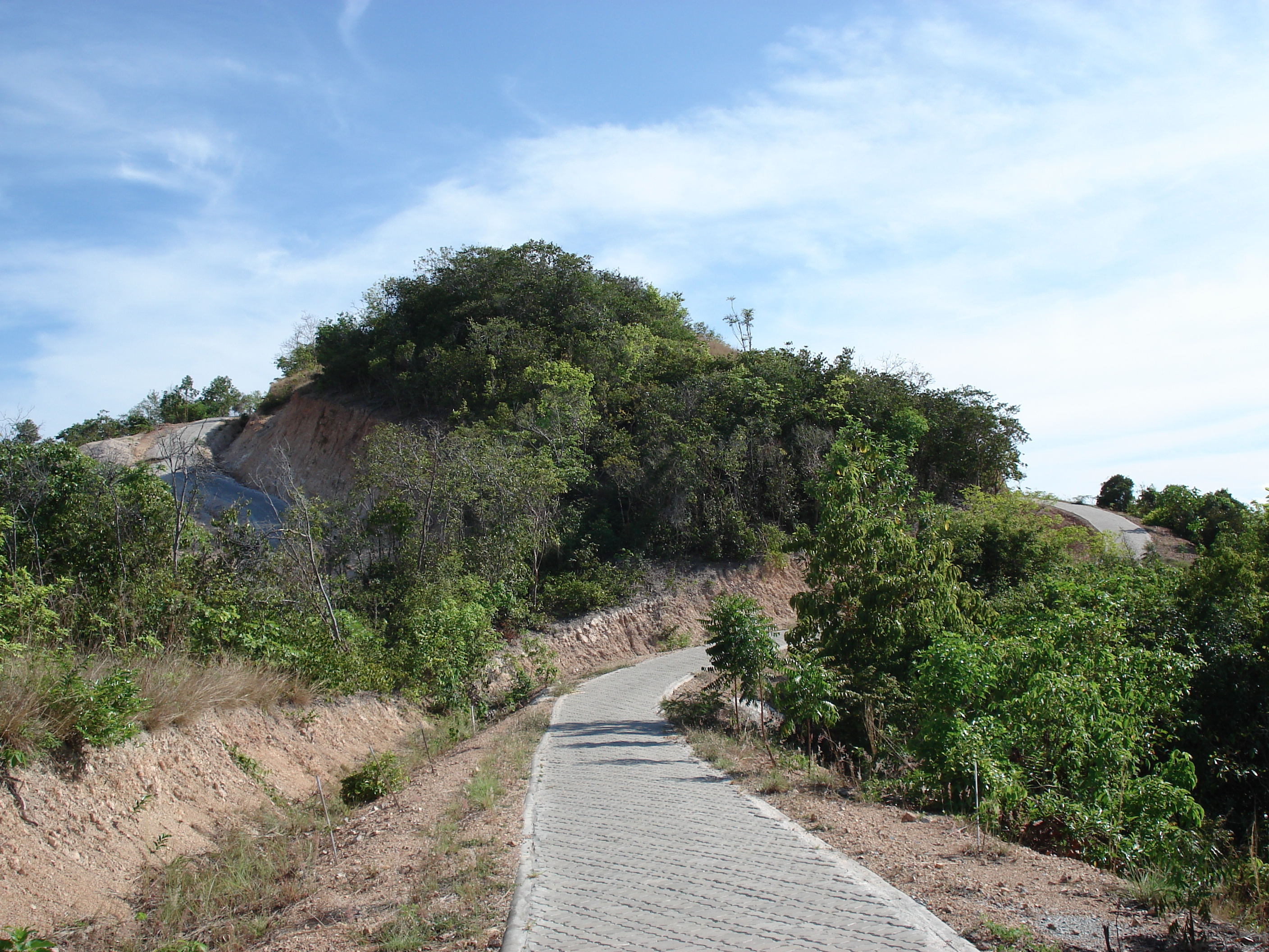 รูปถ่าย ไทย(Thailand) พัทยา(Pattaya) เกาะล้าน(Ko Larn) 2006-04 57