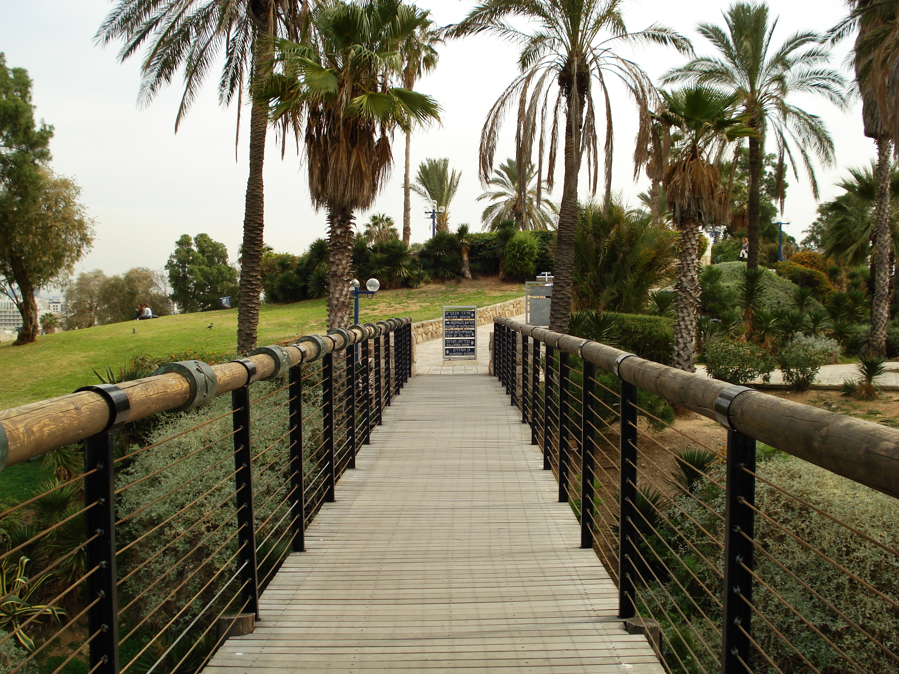 รูปถ่าย อิสราเอล(Israel) จาฟา(Jaffa) 2006-12 138