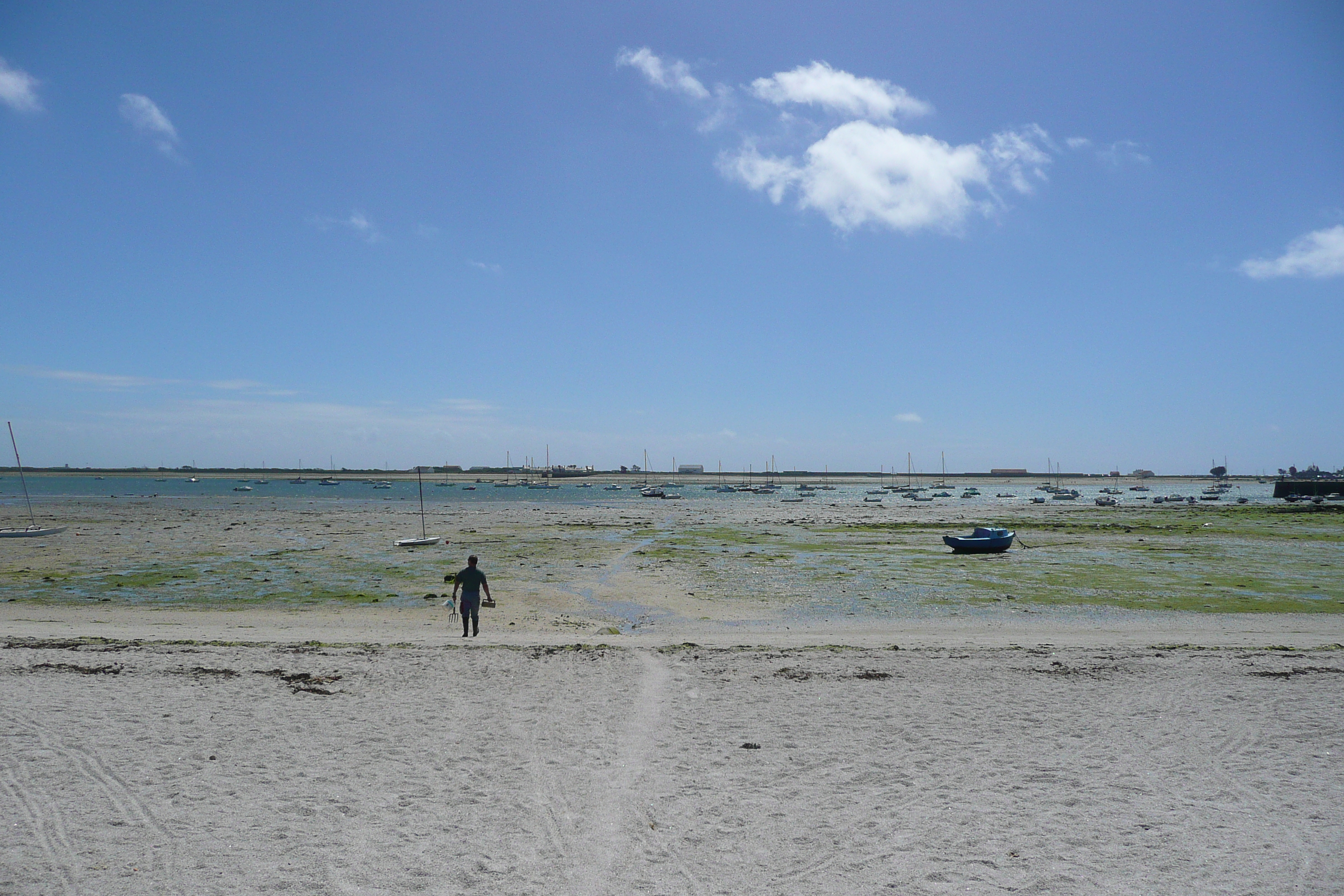 รูปถ่าย ฝรั่งเศส(France) คาบสมุทรกาฟร์(Gavres peninsula) 2008-07 9