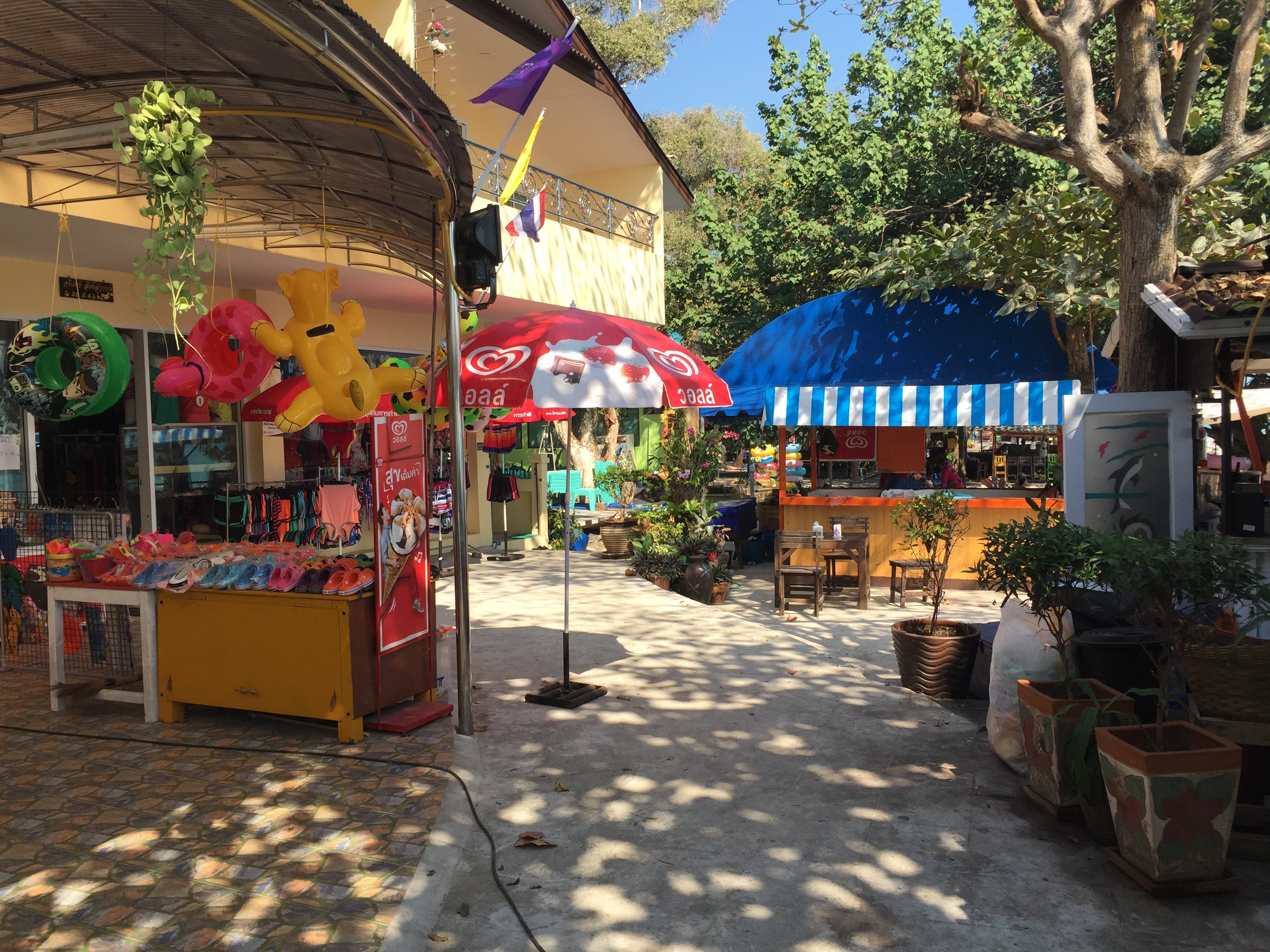 รูปถ่าย ไทย(Thailand) เกาะเสม็ด(Ko Samet) 2016-01 24