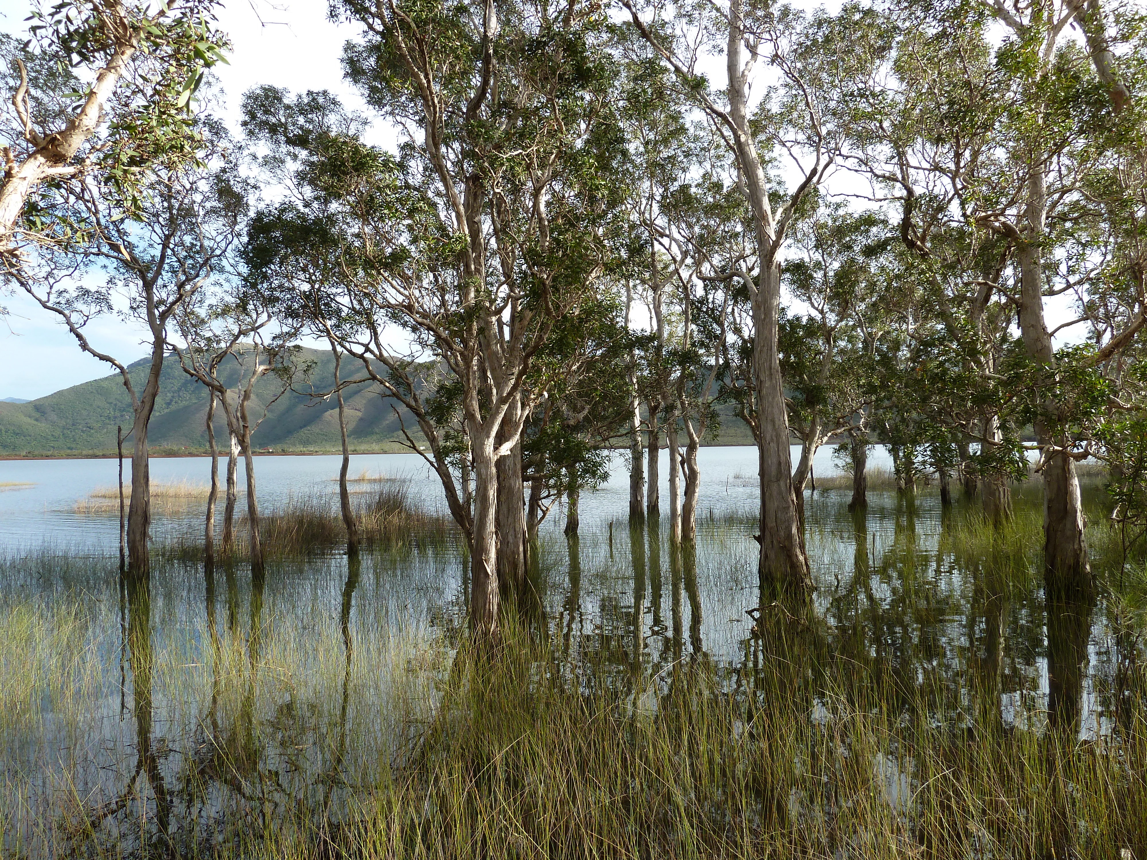 รูปถ่าย นิวแคลิโดเนีย(New Caledonia) 2010-05 40