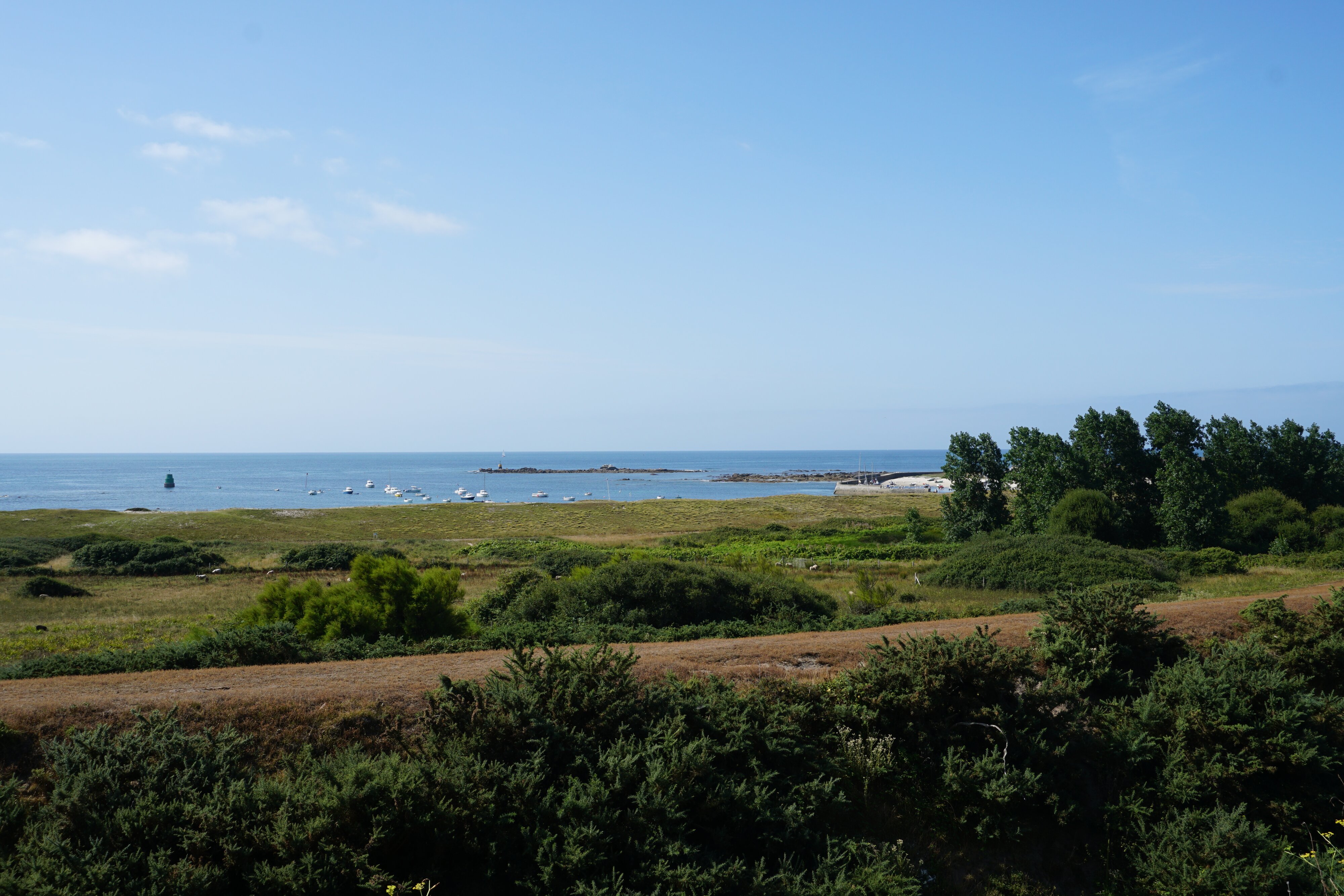 รูปถ่าย ฝรั่งเศส(France) เกาะเอดิก(Hoedic) 2016-08 78