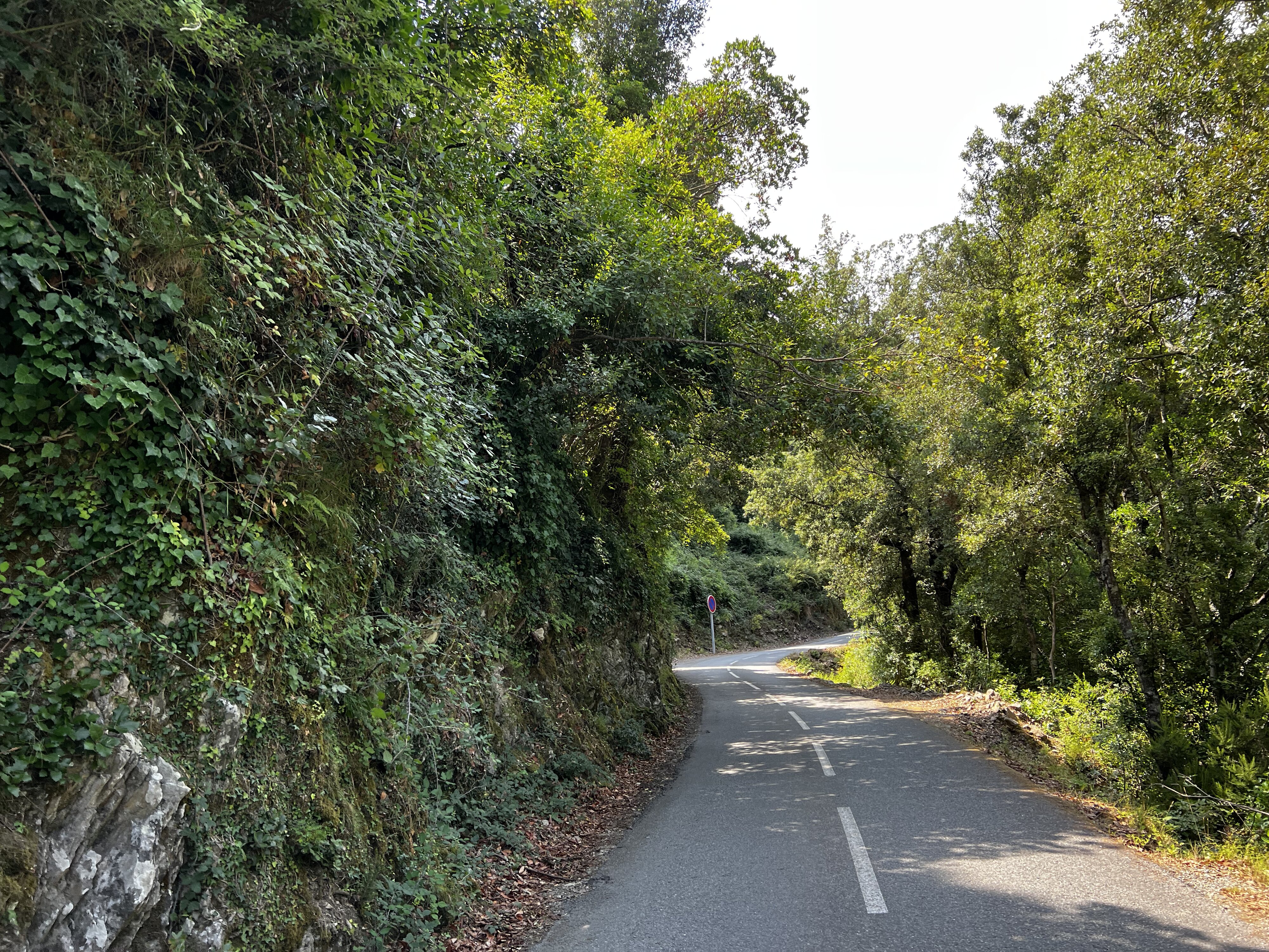 รูปถ่าย ฝรั่งเศส(France) คอร์สิคา(Corsica) คีซา(Chisa) 2022-08 39