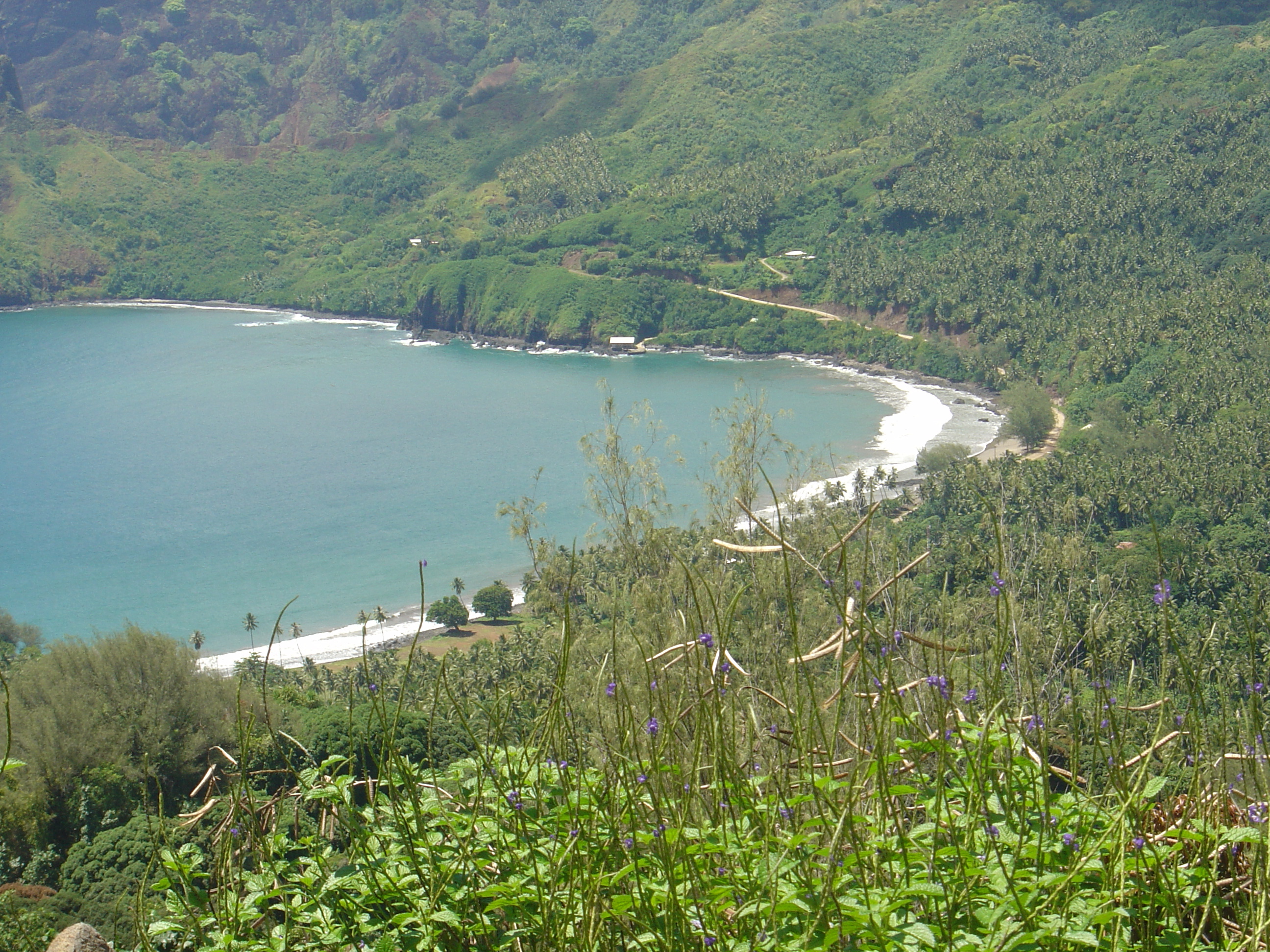 รูปถ่าย เฟรนช์โพลี่นีเซีย(Polynesia) หมู่เกาะมาร์เคซัส(Marquises) 2006-04 171