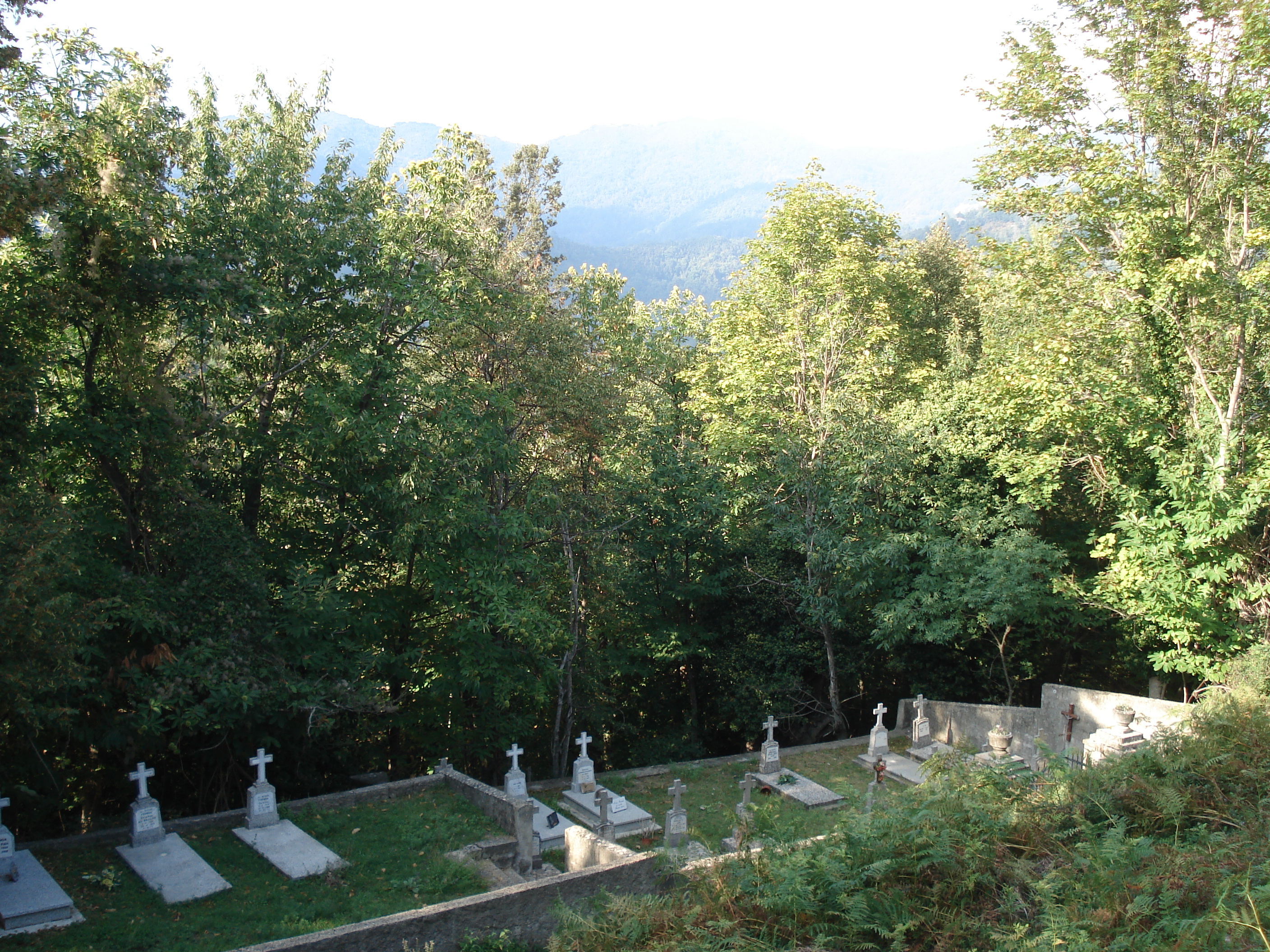 รูปถ่าย ฝรั่งเศส(France) คอร์สิคา(Corsica) วัลเล-ดาเลซานี(Valle d'alesani) 2006-09 41