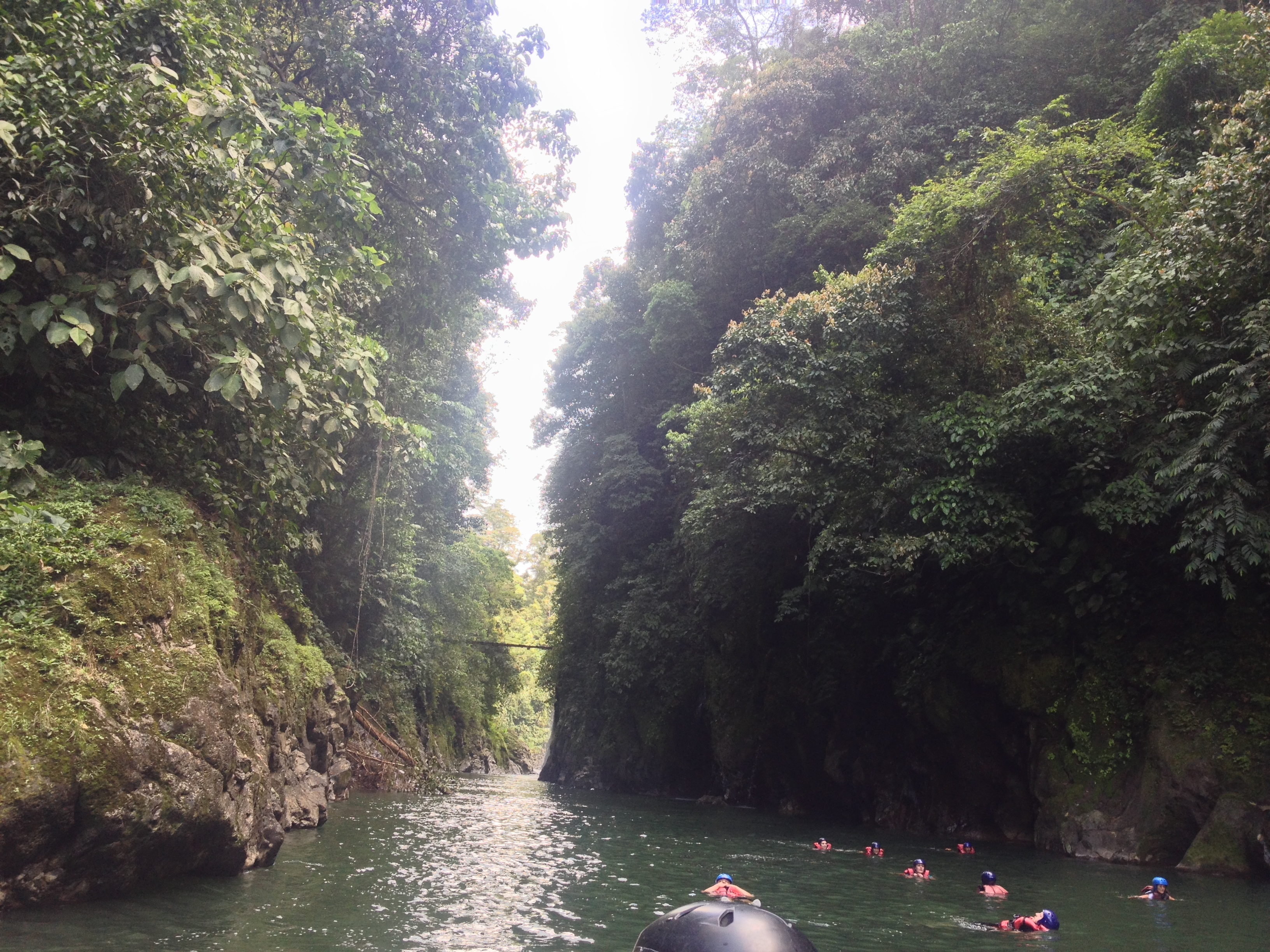 รูปถ่าย คอสตาริกา(Costa Rica) แม่น้ำปากัวเร(Pacuare River) 2015-03 208