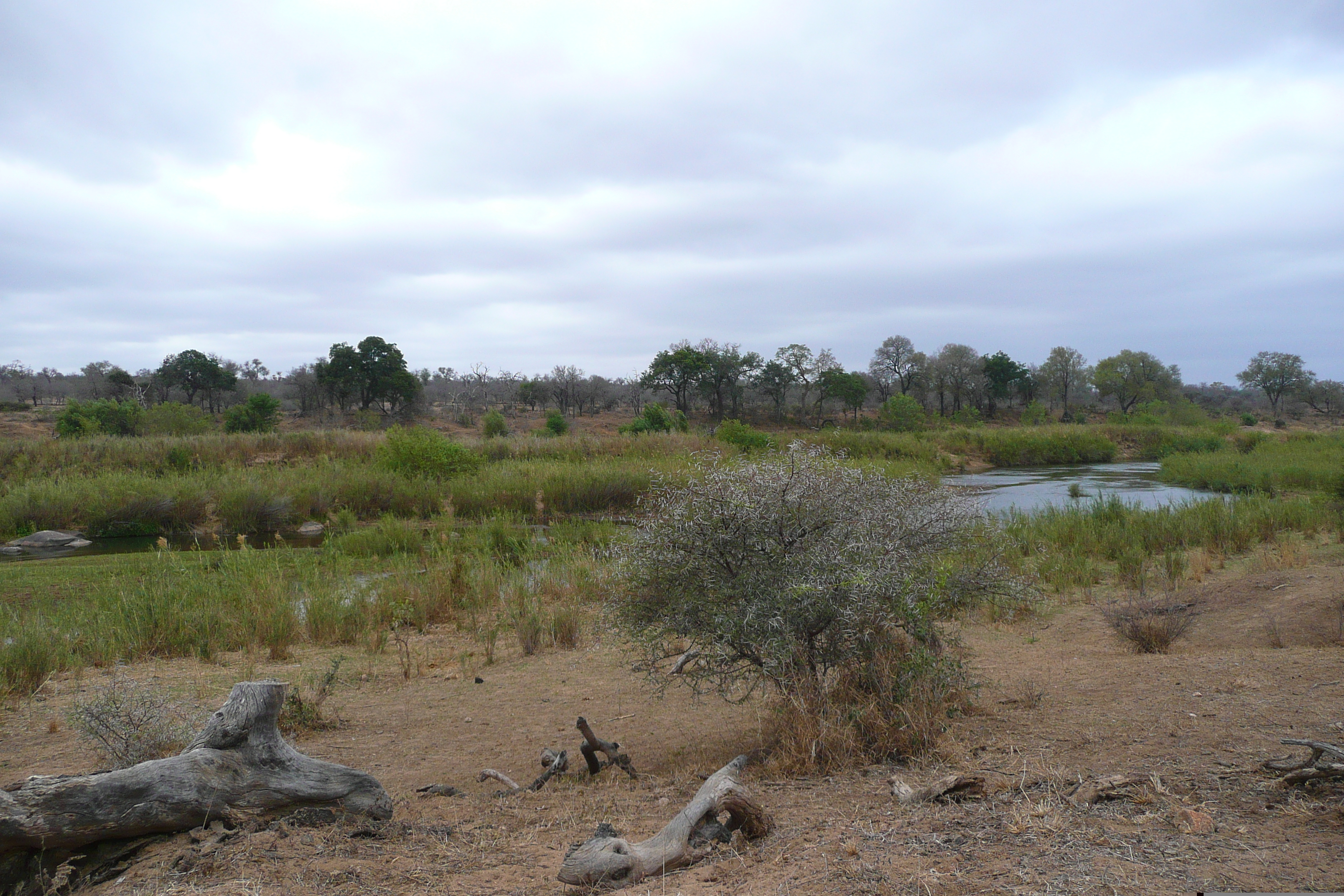 รูปถ่าย แอฟริกาใต้(South Africa) อุทยานแห่งชาติครูเกอร์(Kruger National Park) แม่น้ำซาเบิล(Sable River) 2008-09 23