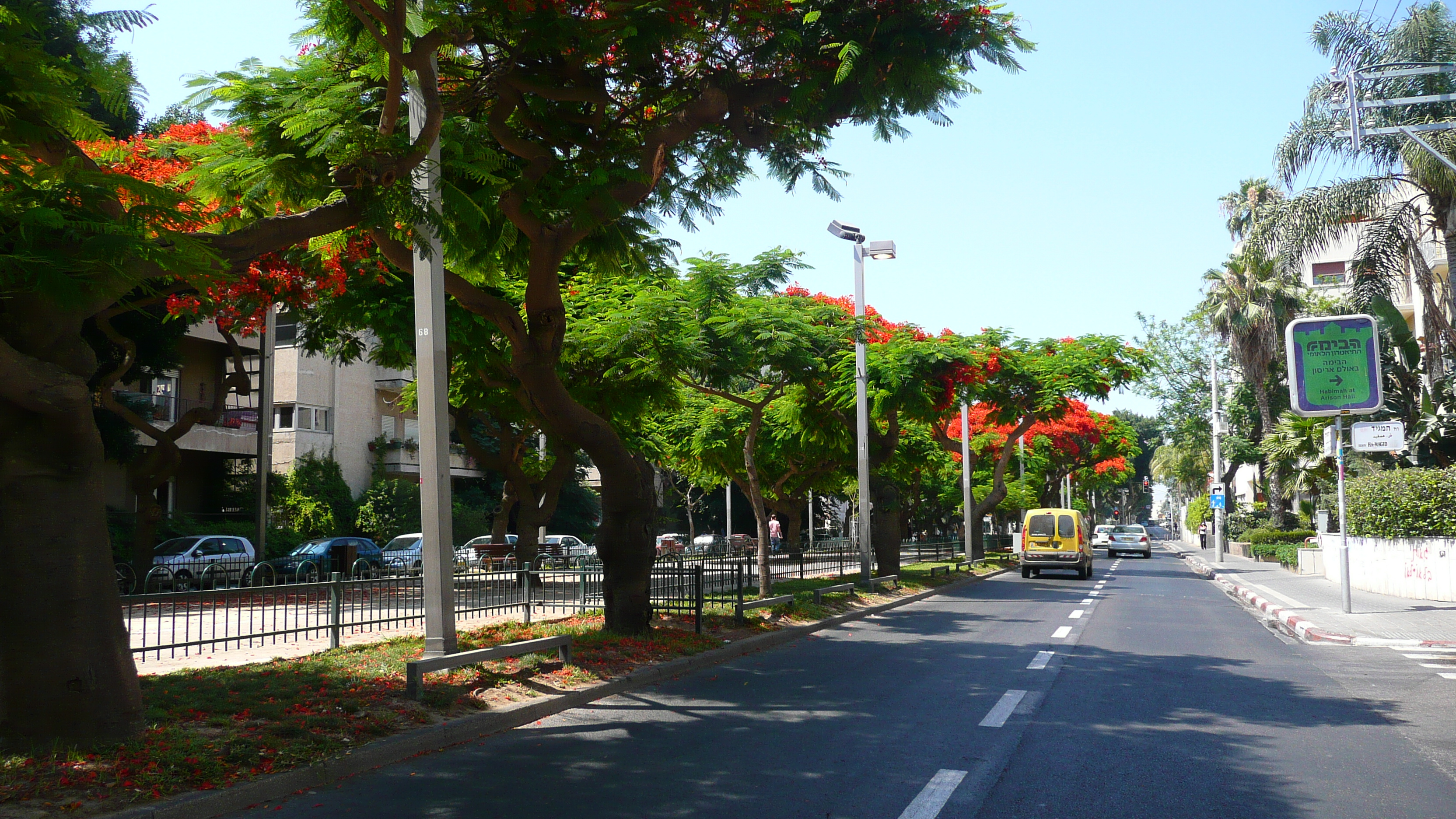 รูปถ่าย อิสราเอล(Israel) เทลอาวีฟ(Tel Aviv) ถนนรอธส์ไชลด์(Rothschild Street) 2007-06 22