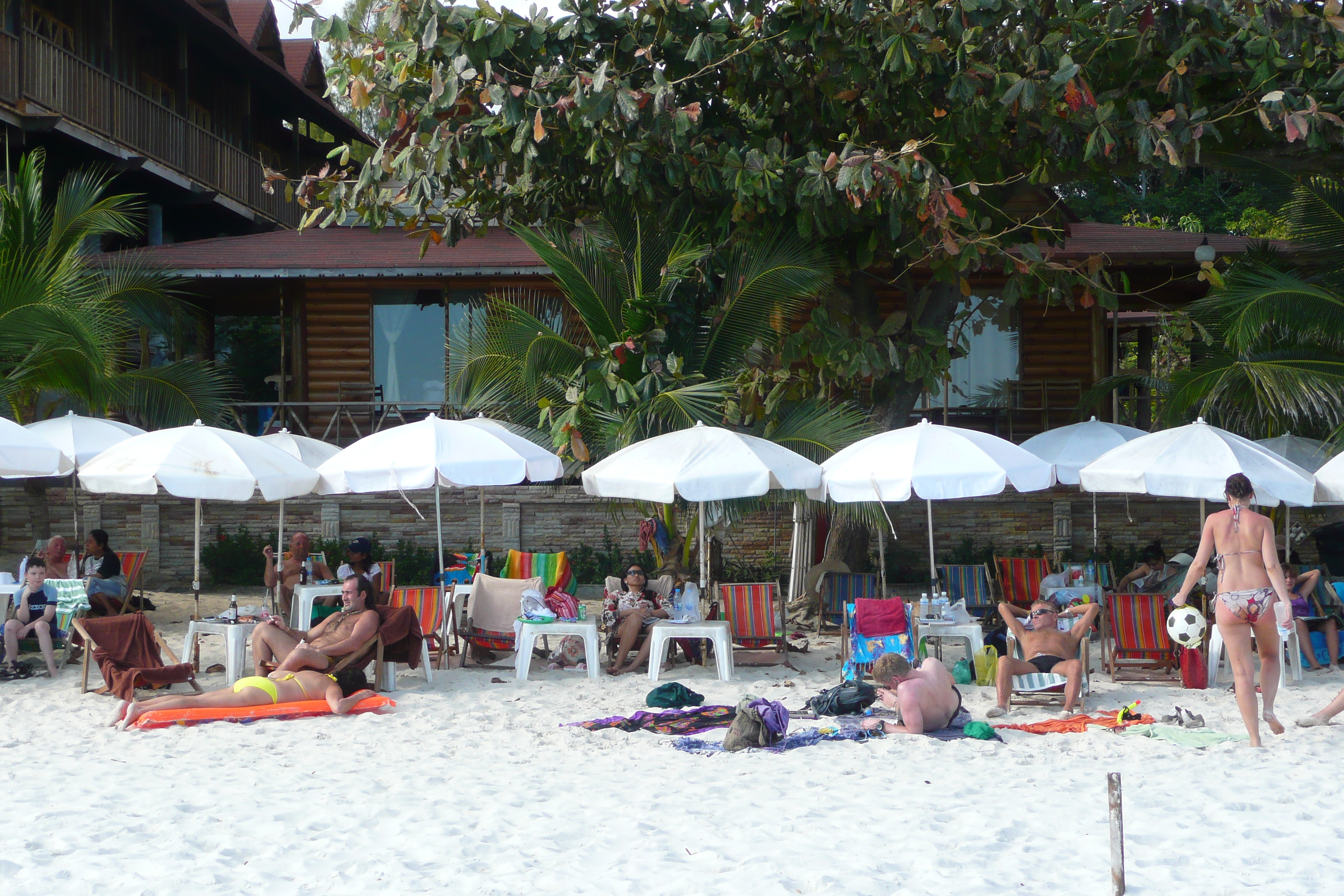 รูปถ่าย ไทย(Thailand) เกาะเสม็ด(Ko Samet) หาดทรายแก้ว(Had Sai Kaew) 2008-12 26