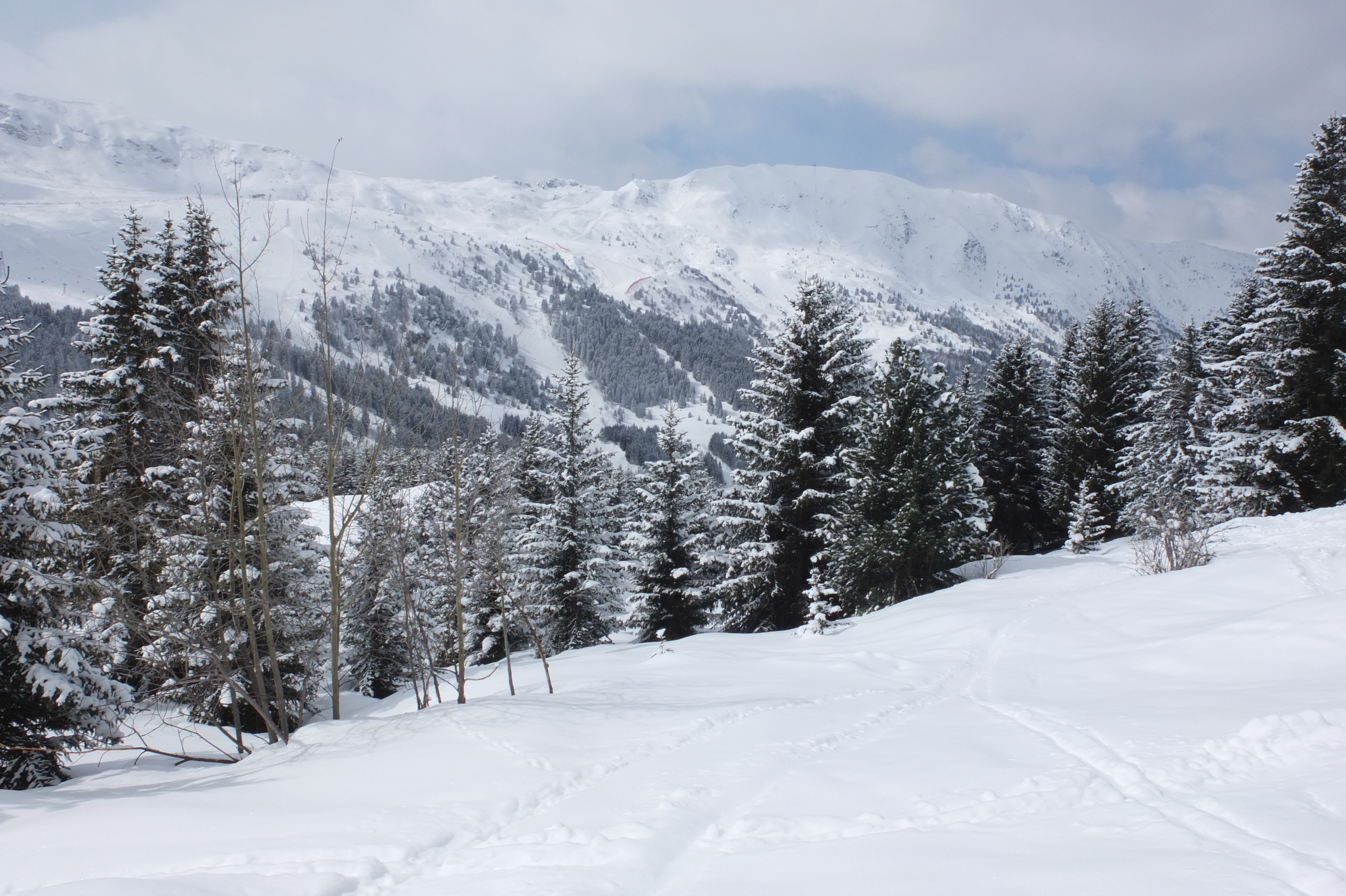 รูปถ่าย ฝรั่งเศส(France) เลทรัววาเล(Les 3 Vallees) 2013-03 282