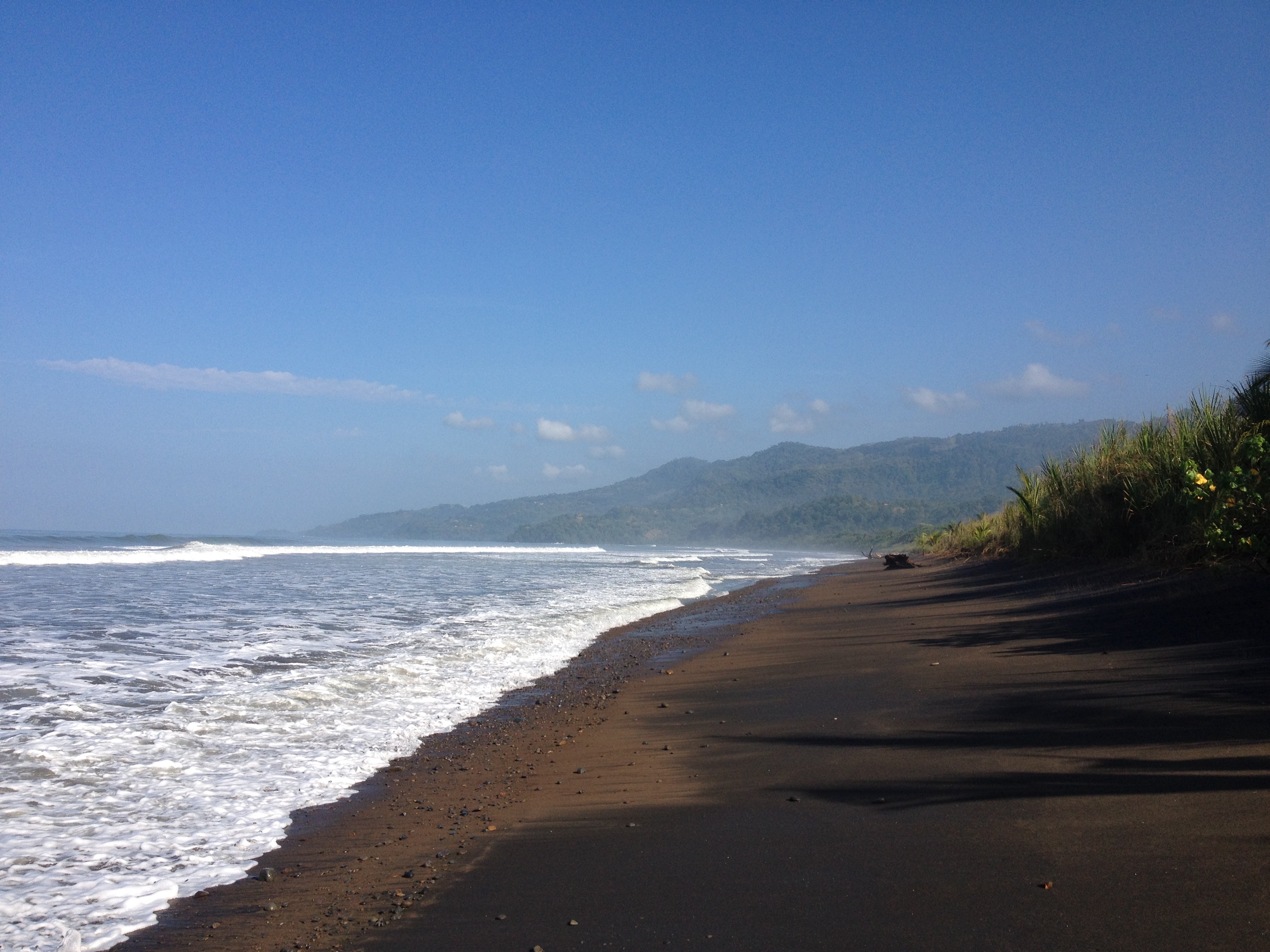 รูปถ่าย คอสตาริกา(Costa Rica) อูบีตา(Uvita) 2015-03 115