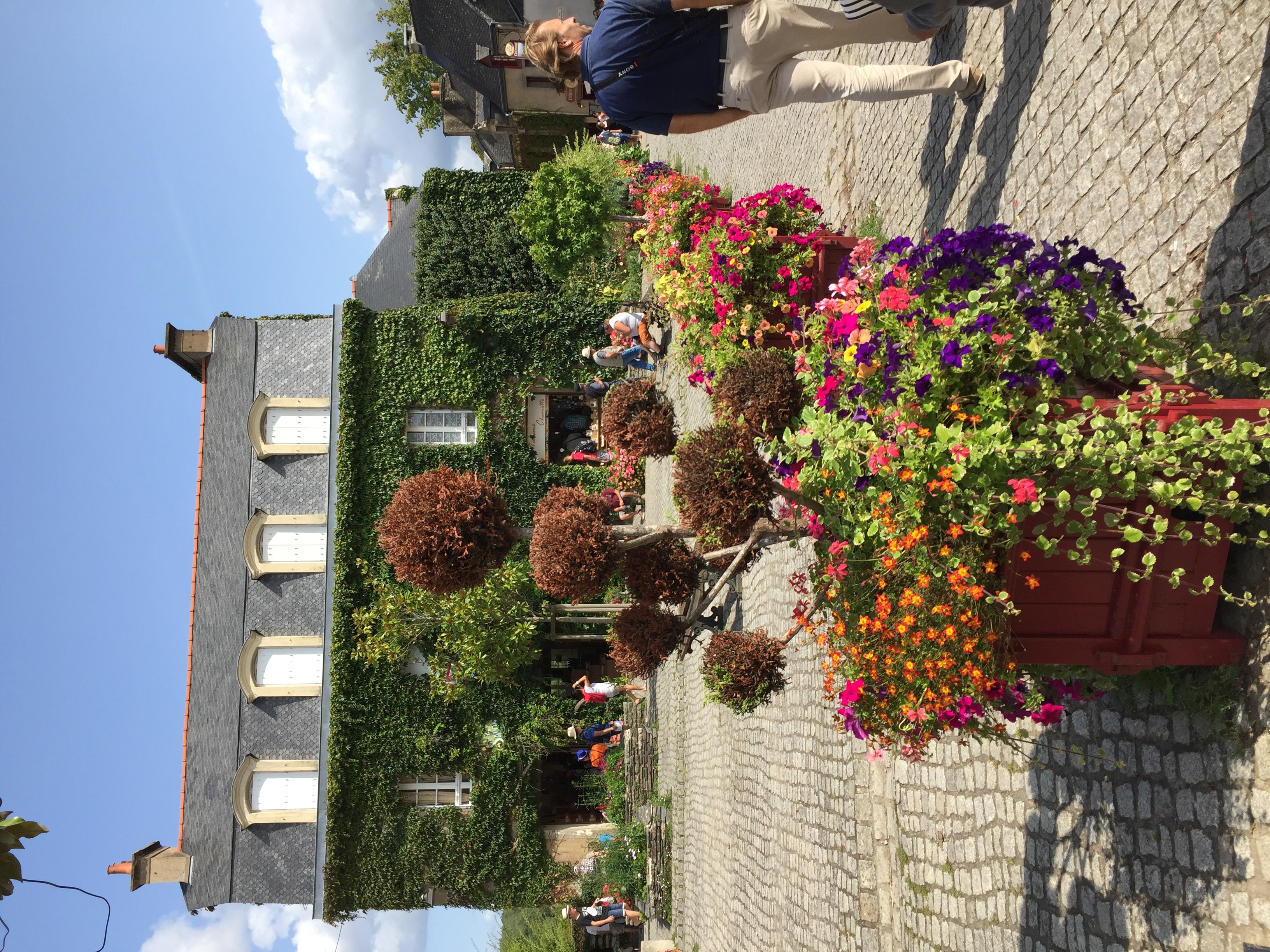 รูปถ่าย ฝรั่งเศส(France) รอชฟอร์-อ็อง-แตร์(Rochefort en terre) 2017-08 68