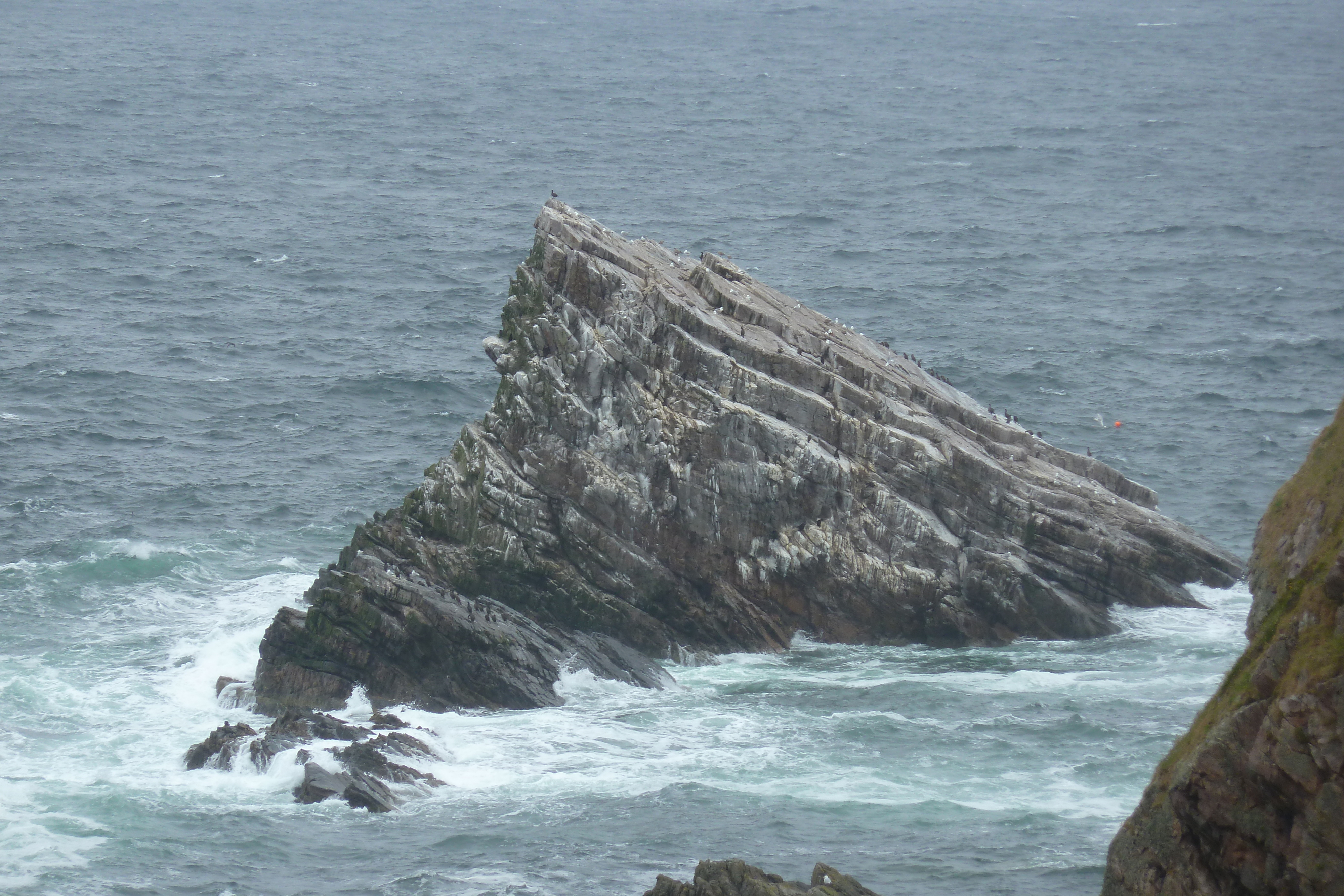 รูปถ่าย อังกฤษ(United Kingdom) สกอตแลนด์(Scotland) ชายฝั่งมอเรย์(Moray Coast) 2011-07 0