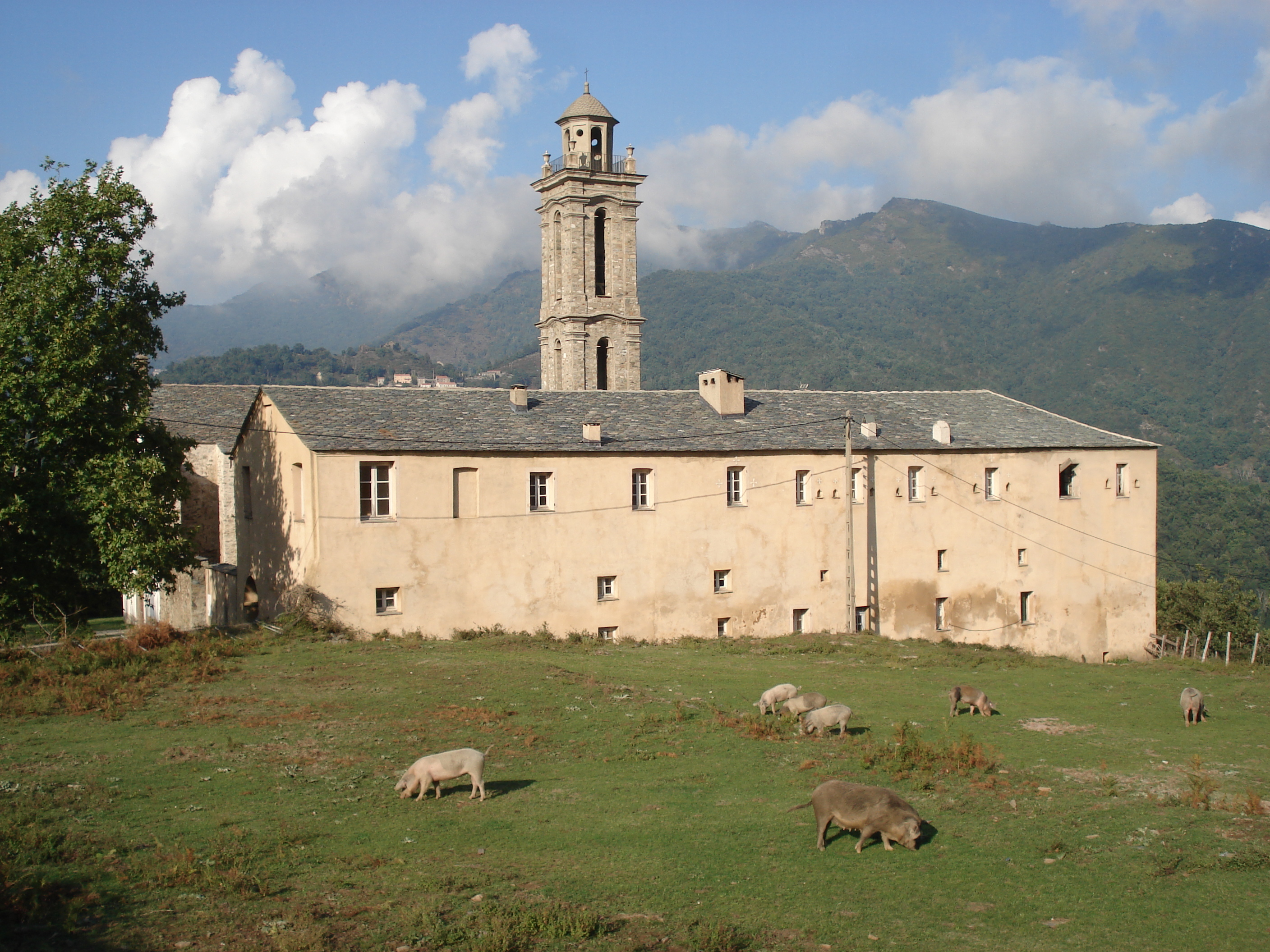 รูปถ่าย ฝรั่งเศส(France) คอร์สิคา(Corsica) วัลเล-ดาเลซานี(Valle d'alesani) 2006-09 102