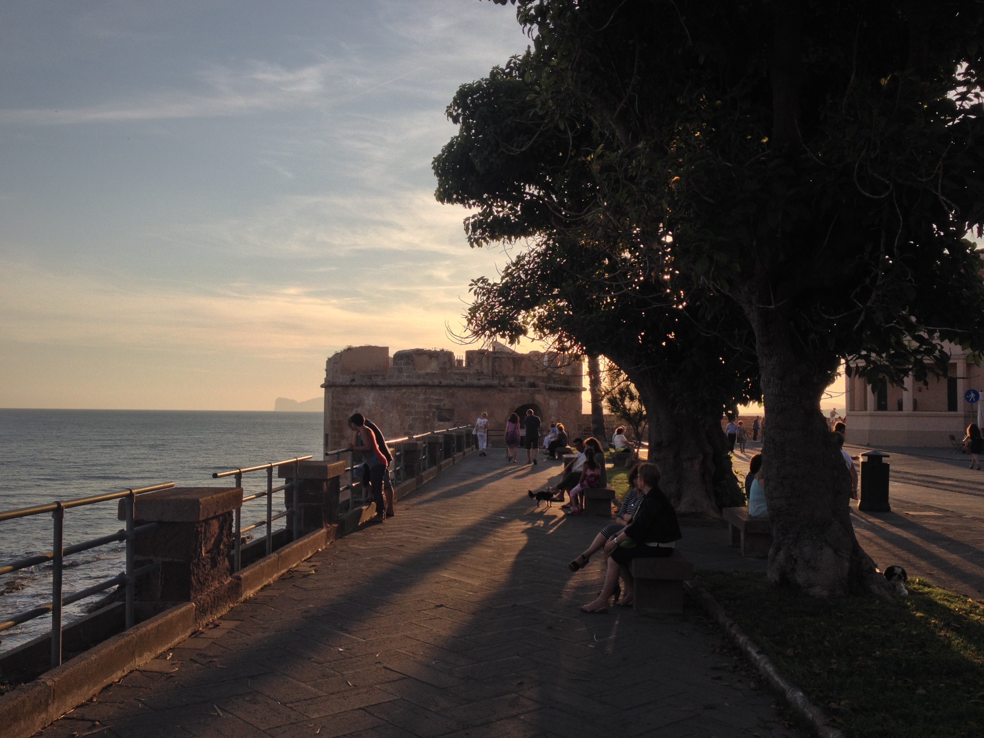 รูปถ่าย อิตาลี(Italy) ซาร์ดิเนีย(Sardinia) อัลเกโร(Alghero) 2015-06 127