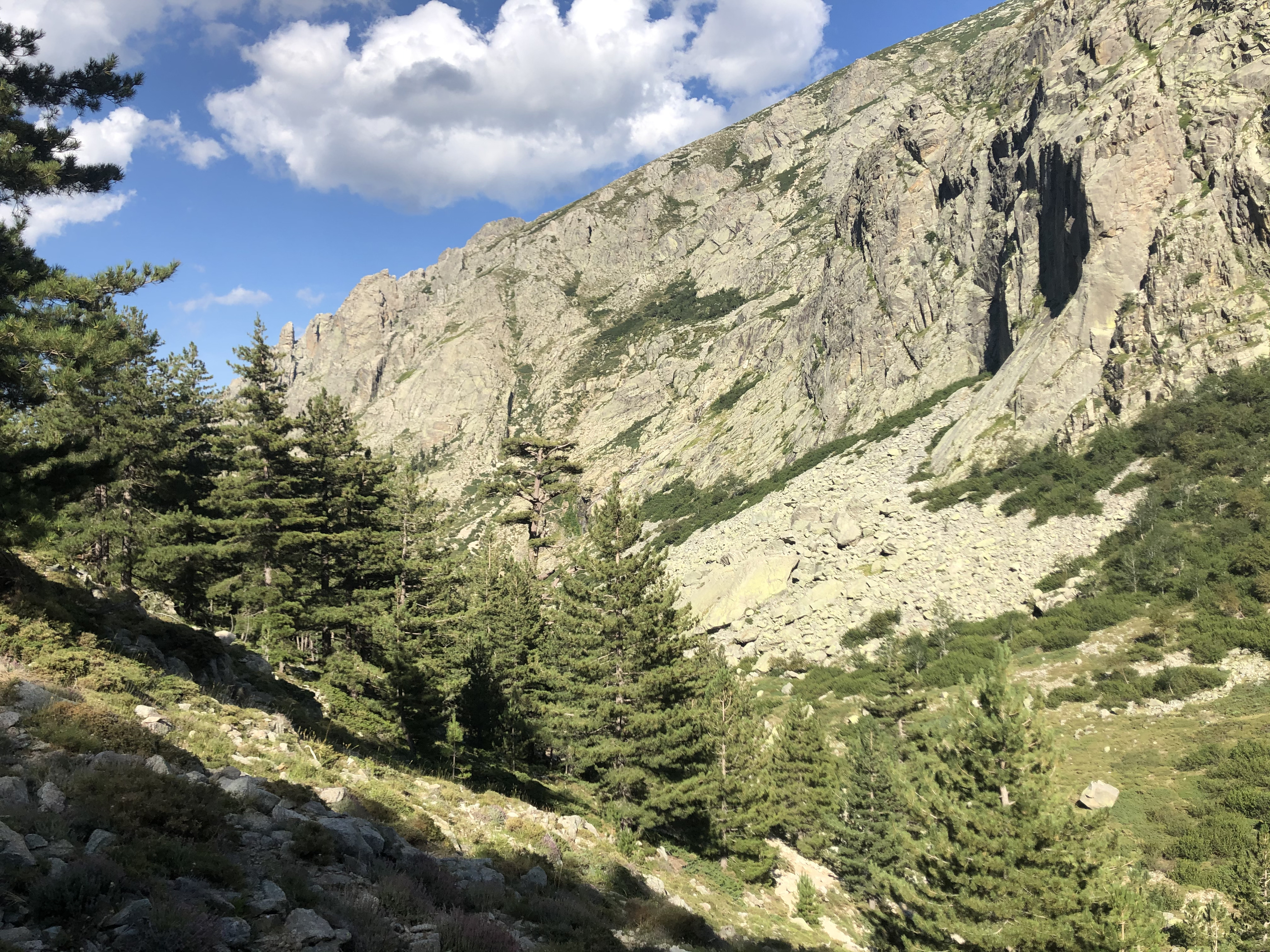 รูปถ่าย ฝรั่งเศส(France) คอร์สิคา(Corsica) หุบเขาลาเรสโตนีกา(La Restonica) 2020-07 75