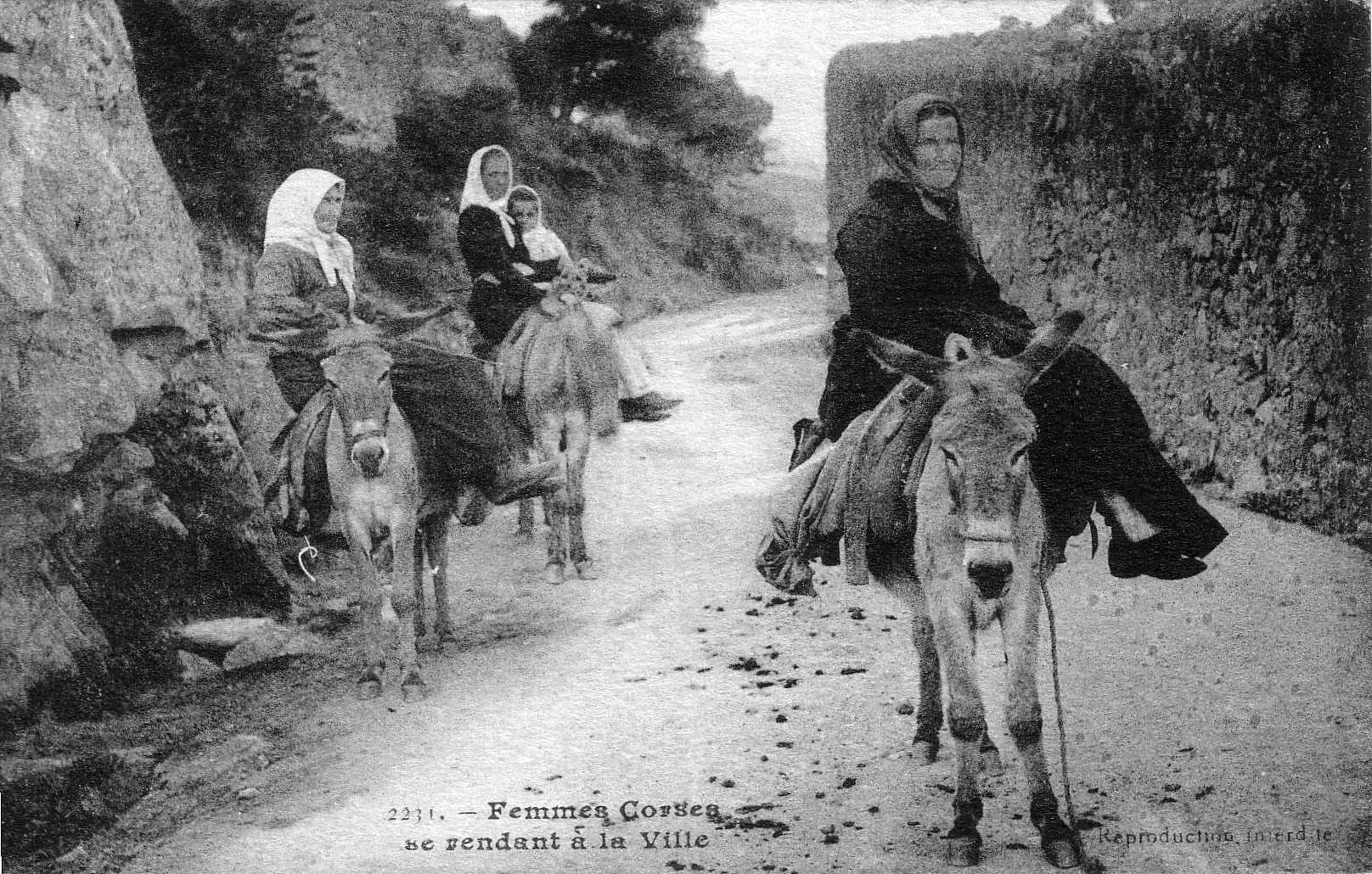 รูปถ่าย ฝรั่งเศส(France) คอร์สิคา(Corsica) โปสการ์ดเก่า(Old Postcards) 1900-01 273