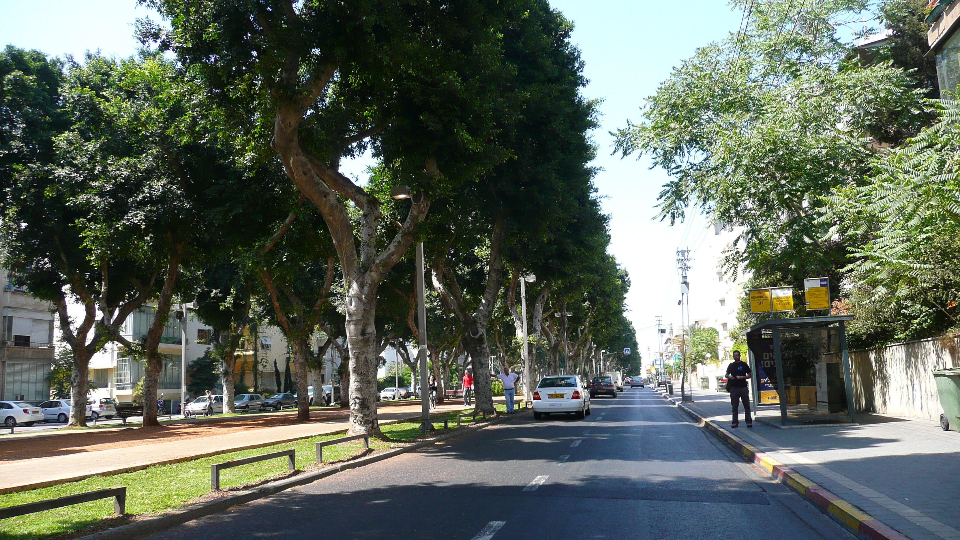 รูปถ่าย อิสราเอล(Israel) เทลอาวีฟ(Tel Aviv) ถนนรอธส์ไชลด์(Rothschild Street) 2007-06 37
