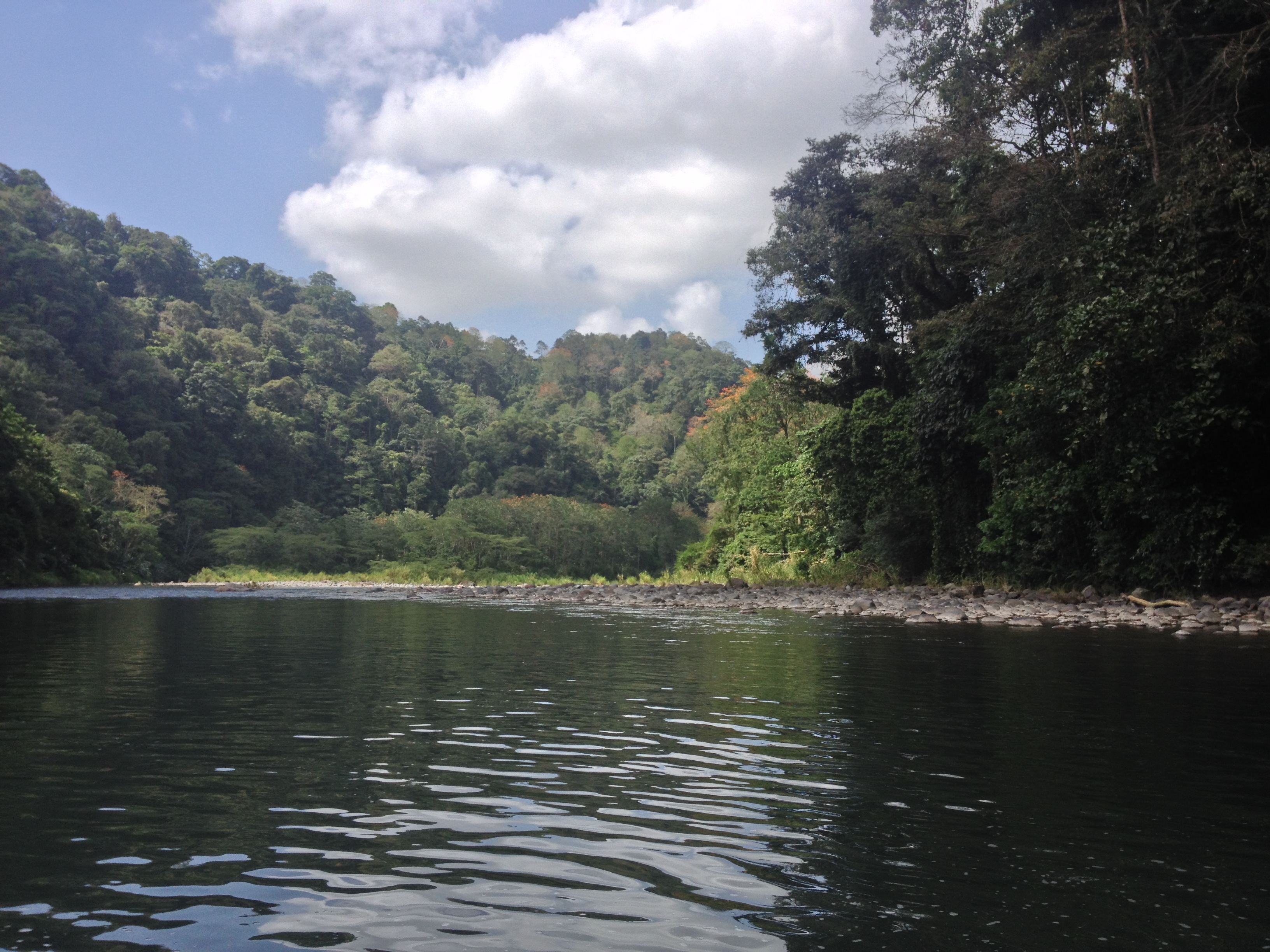 รูปถ่าย คอสตาริกา(Costa Rica) แม่น้ำปากัวเร(Pacuare River) 2015-03 207