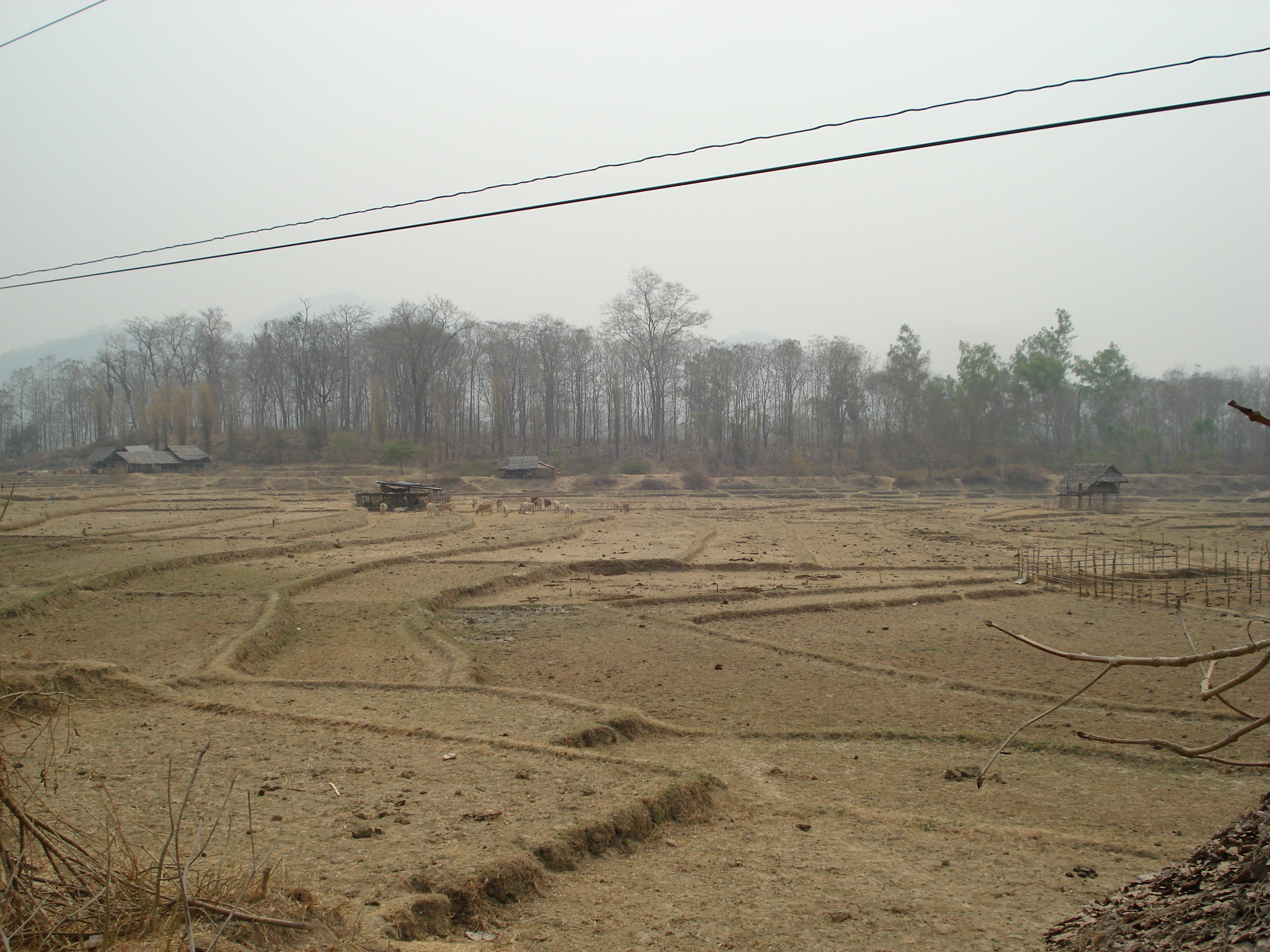 รูปถ่าย ไทย(Thailand) ถนนจากเชียงใหม่ไปปาย(Chiang Mai to Pai road) 2007-02 86