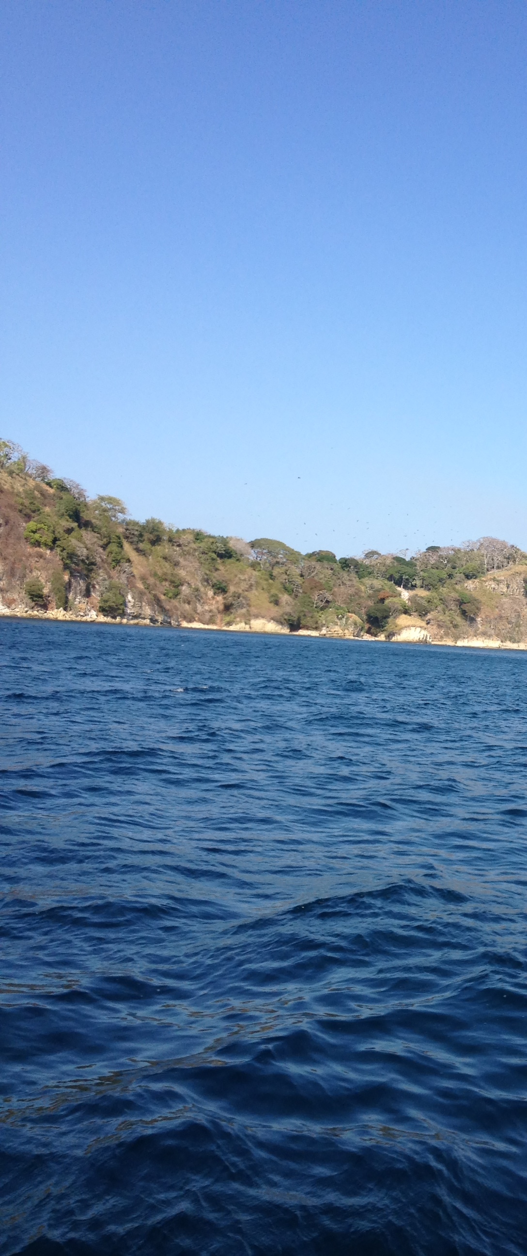 รูปถ่าย ปานามา(Panama) จากปานามาไปหมู่เกาะลัสเปร์ลัส(Panama to Las Perlas) 2015-03 10