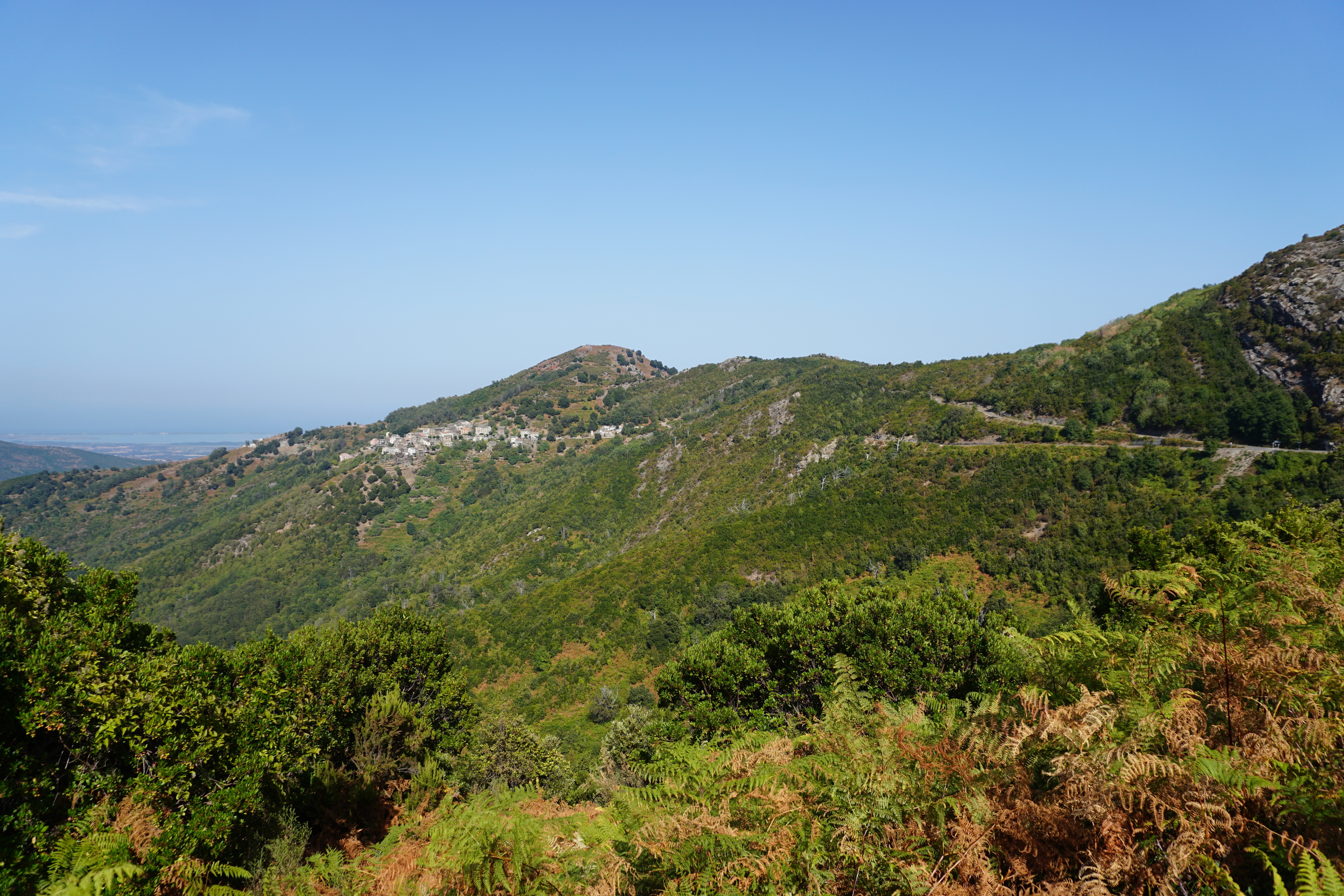 รูปถ่าย ฝรั่งเศส(France) คอร์สิคา(Corsica) แฟร์ลัจจา(Ferlaggia) 2017-09 8