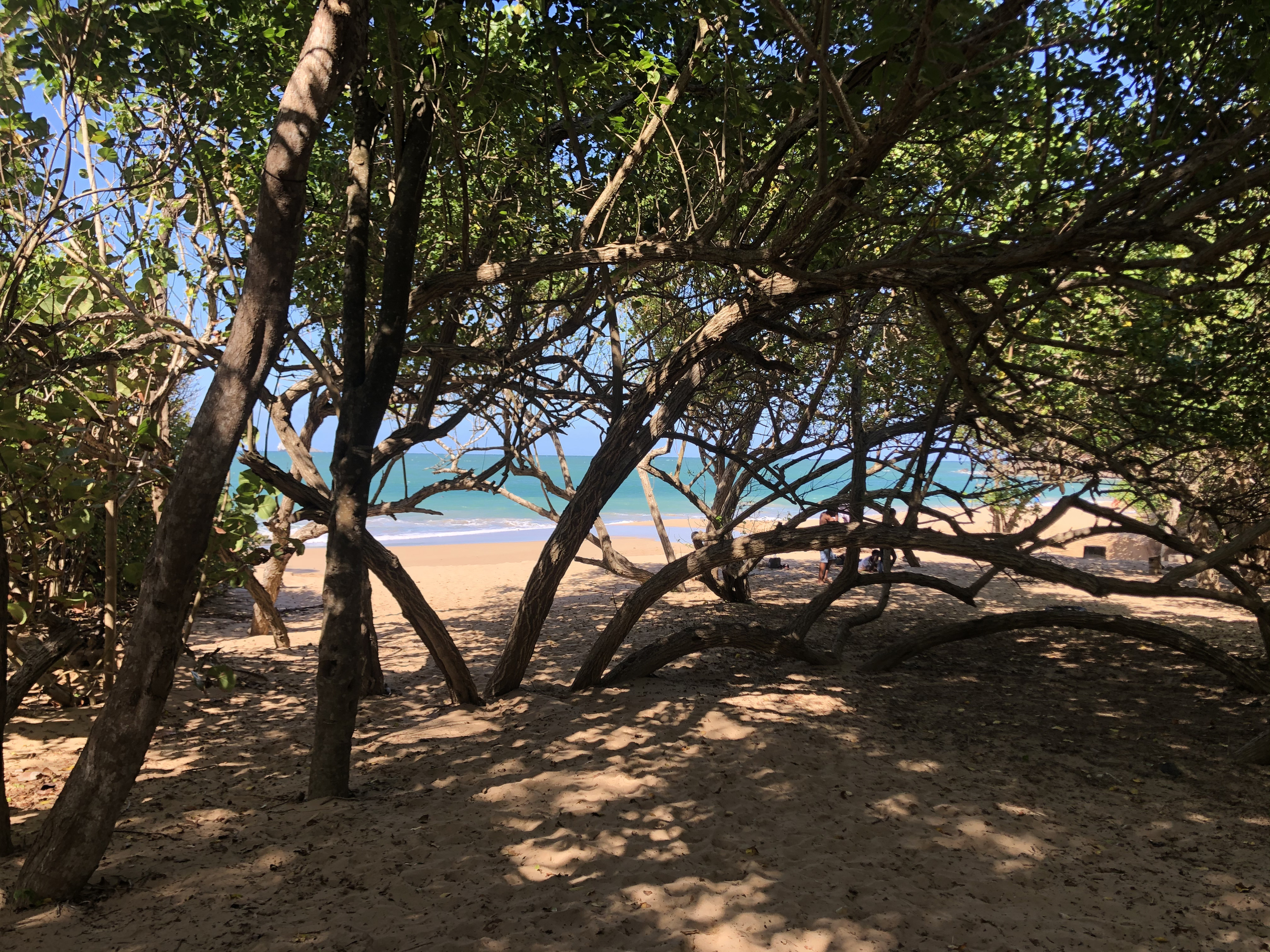 รูปถ่าย กวาเดอลูป(Guadeloupe) ป้อมรอยัล(Fort Royal) 2021-02 8
