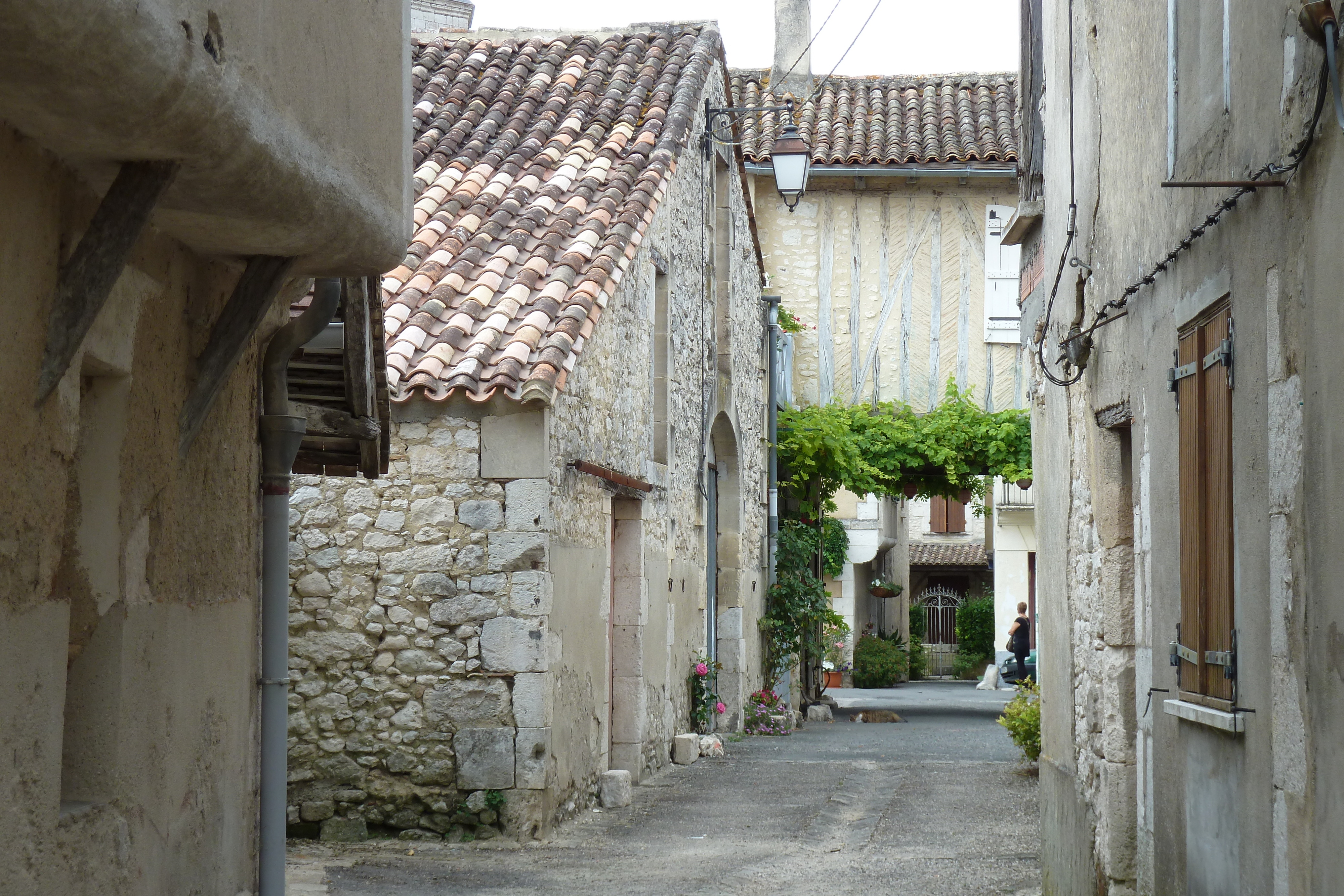 รูปถ่าย ฝรั่งเศส(France) อีซีฌัก(Issigeac) 2010-08 35