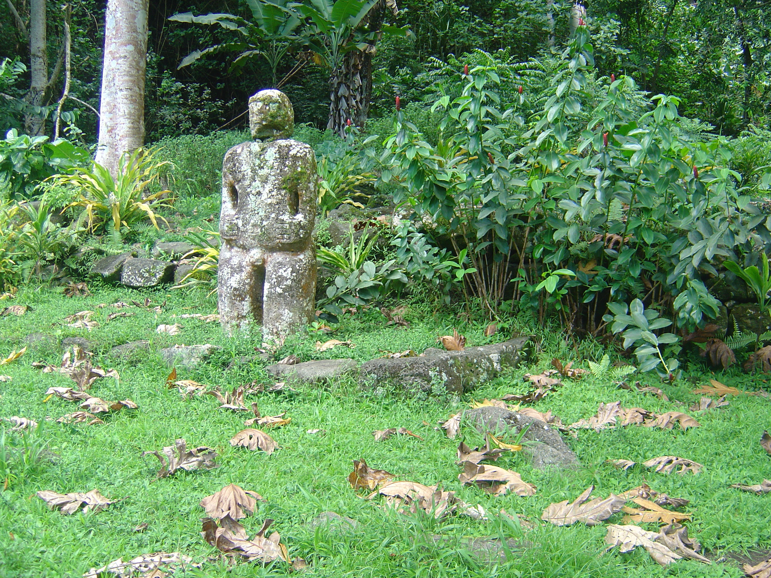 รูปถ่าย เฟรนช์โพลี่นีเซีย(Polynesia) หมู่เกาะมาร์เคซัส(Marquises) 2006-04 108