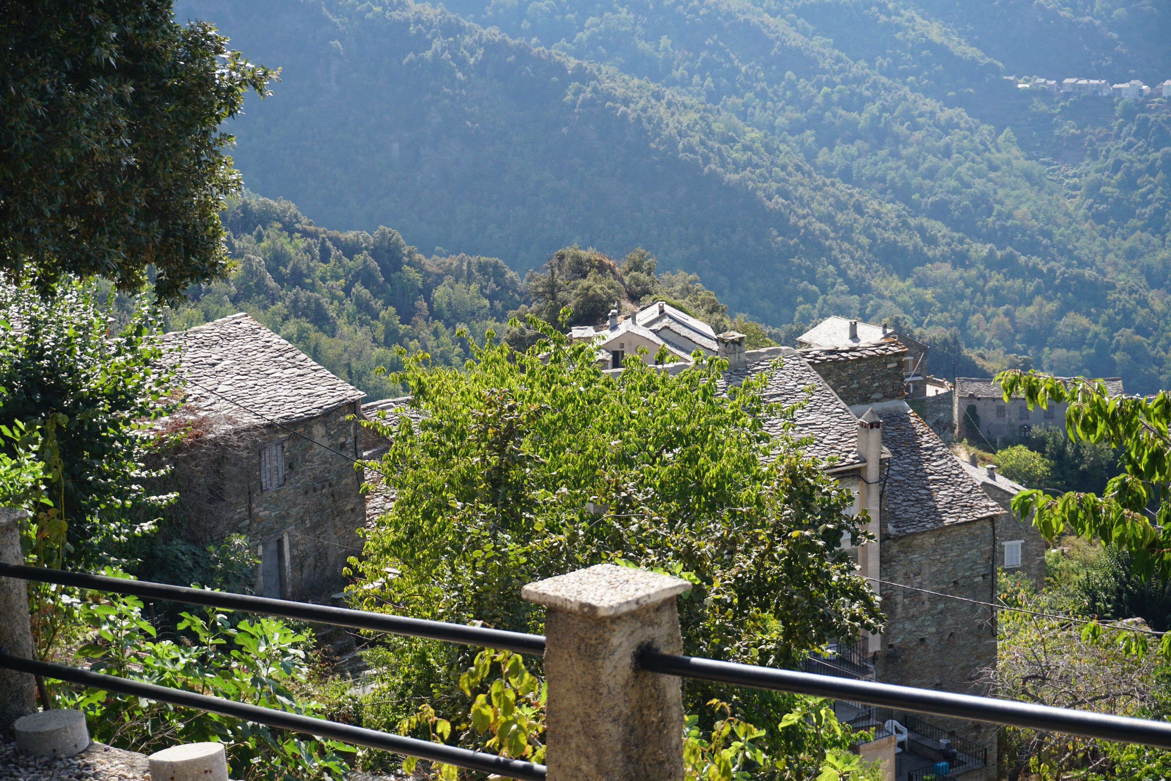 รูปถ่าย ฝรั่งเศส(France) คอร์สิคา(Corsica) แฟร์ลัจจา(Ferlaggia) 2017-09 14