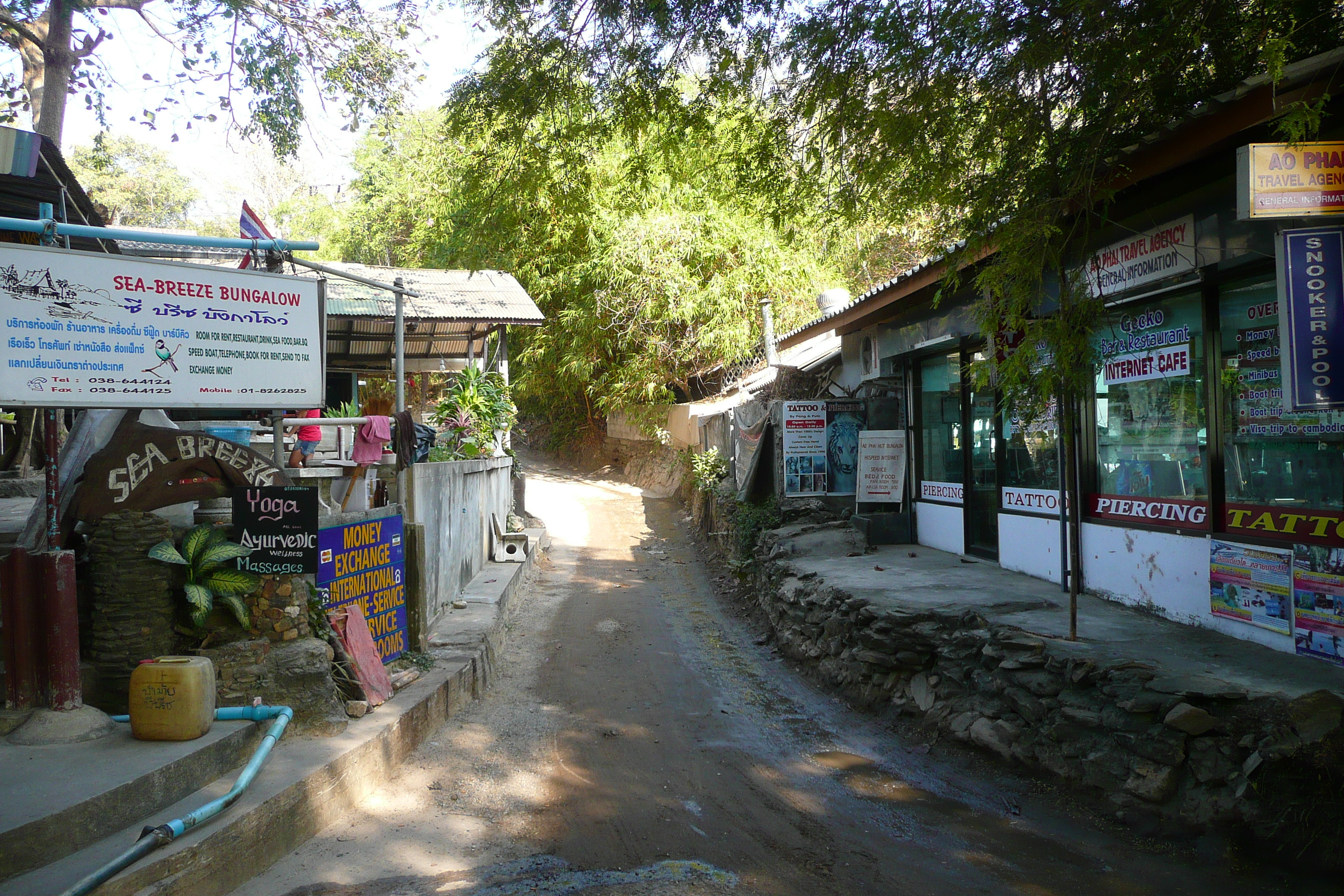 รูปถ่าย ไทย(Thailand) เกาะเสม็ด(Ko Samet) อ่าวไผ่(Ao Phai) 2009-01 37