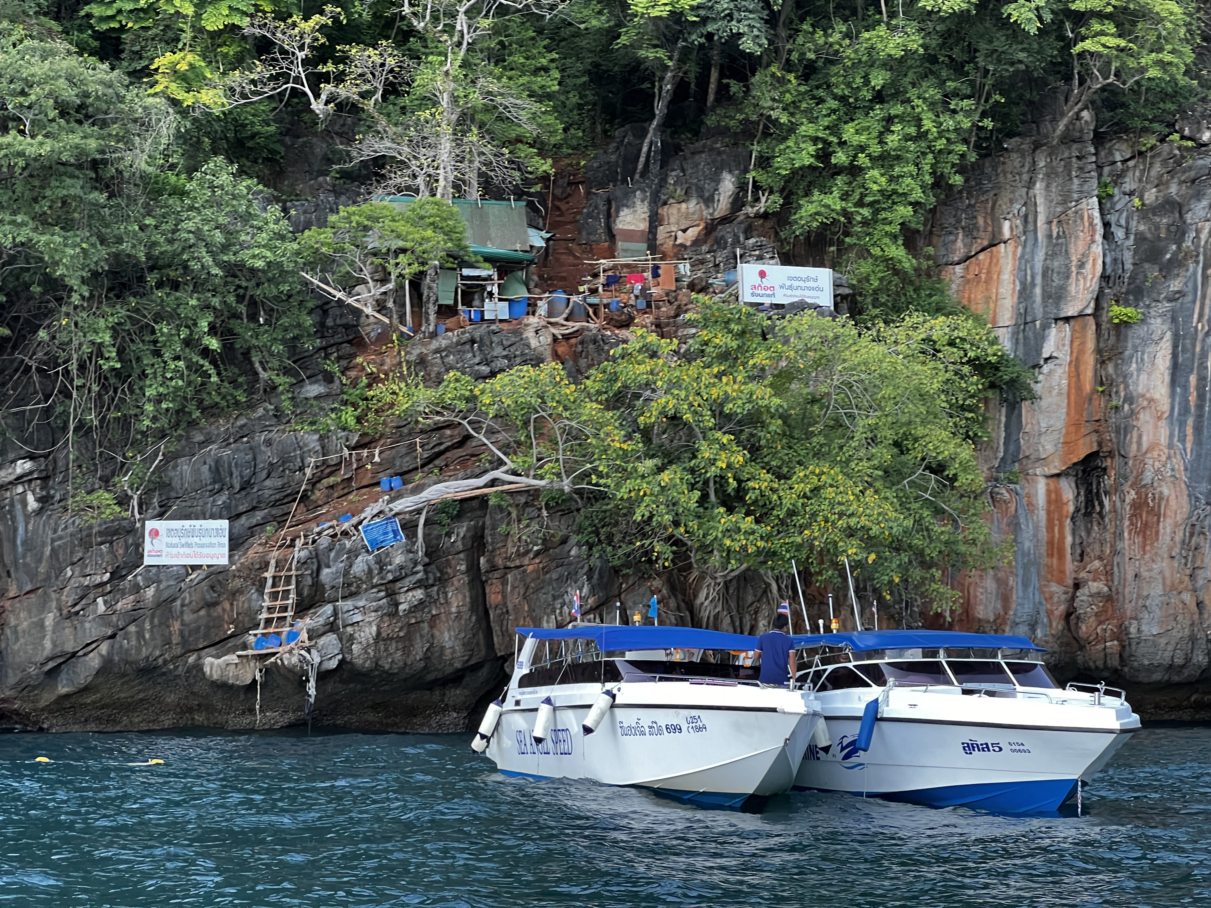 รูปถ่าย ไทย(Thailand) เกาะพีพีเล(Ko Phi Phi Ley) 2021-12 145