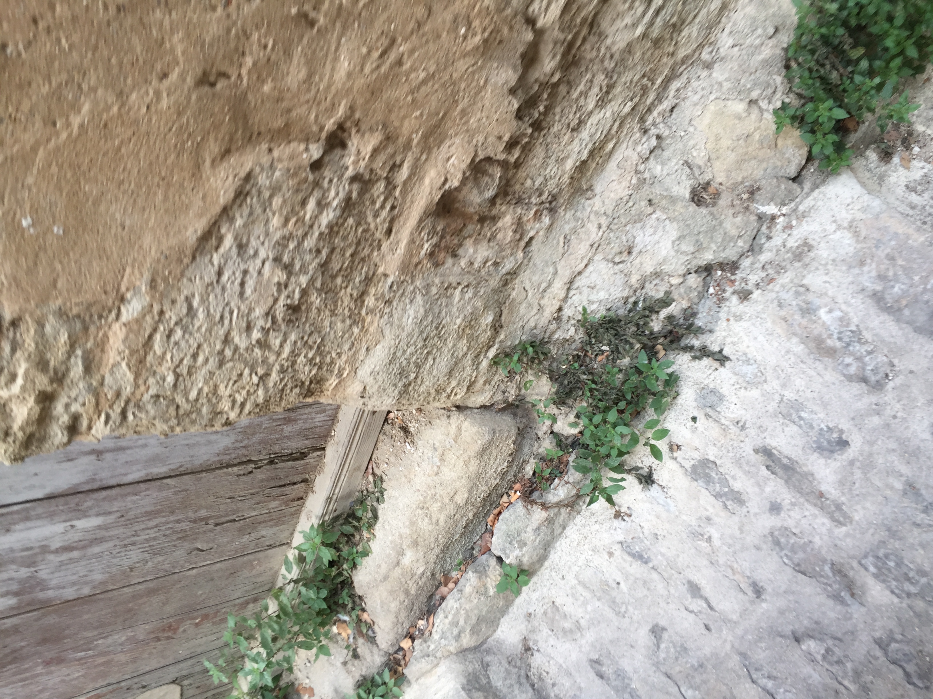 รูปถ่าย ฝรั่งเศส(France) กอร์ด(Gordes) 2017-08 38