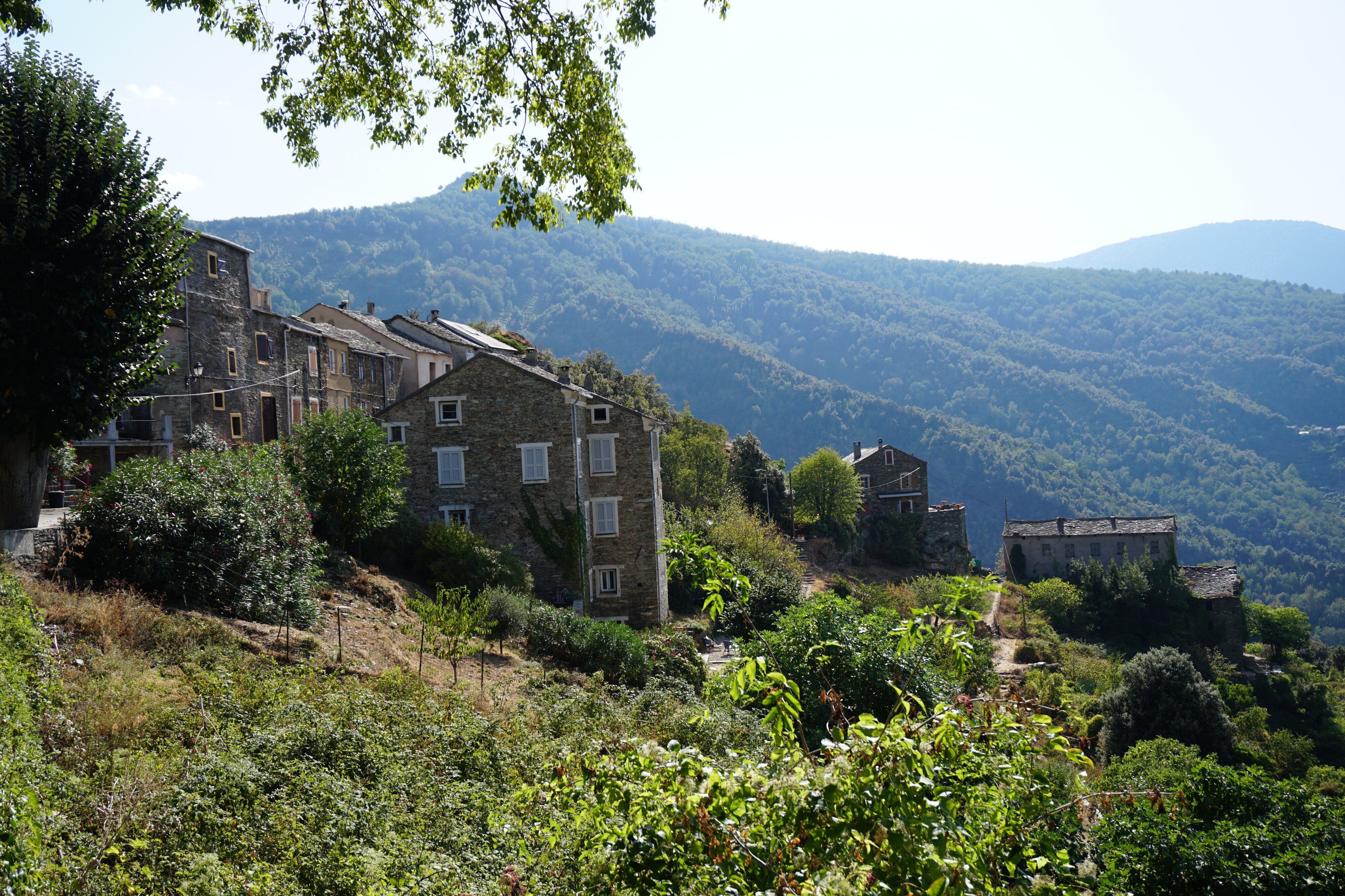 รูปถ่าย ฝรั่งเศส(France) คอร์สิคา(Corsica) แฟร์ลัจจา(Ferlaggia) 2017-09 21