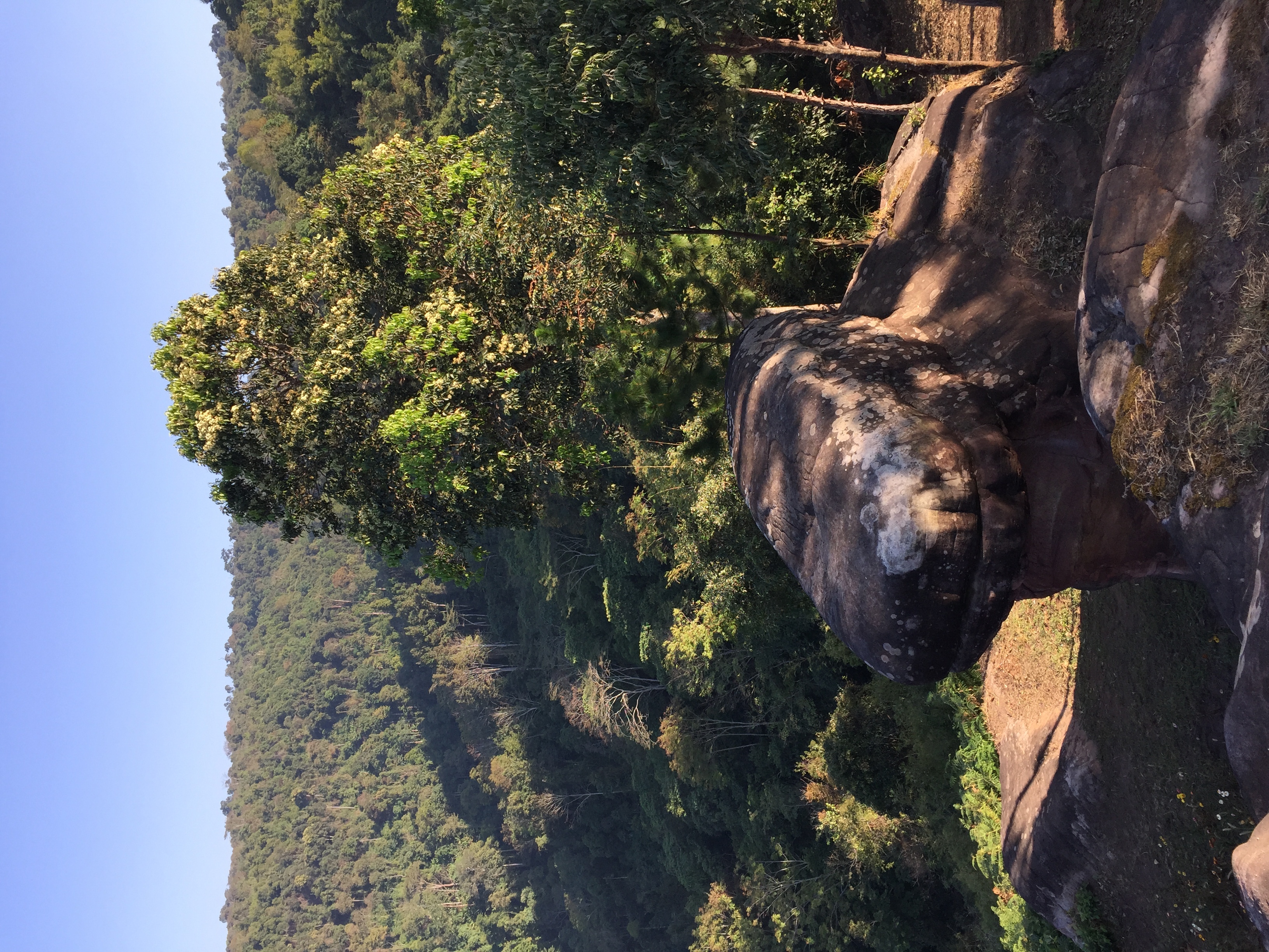 รูปถ่าย ไทย(Thailand) อุทยานแห่งชาติภูหินร่องกล้า(Phu Hin Rong Kla National Park) 2014-12 139