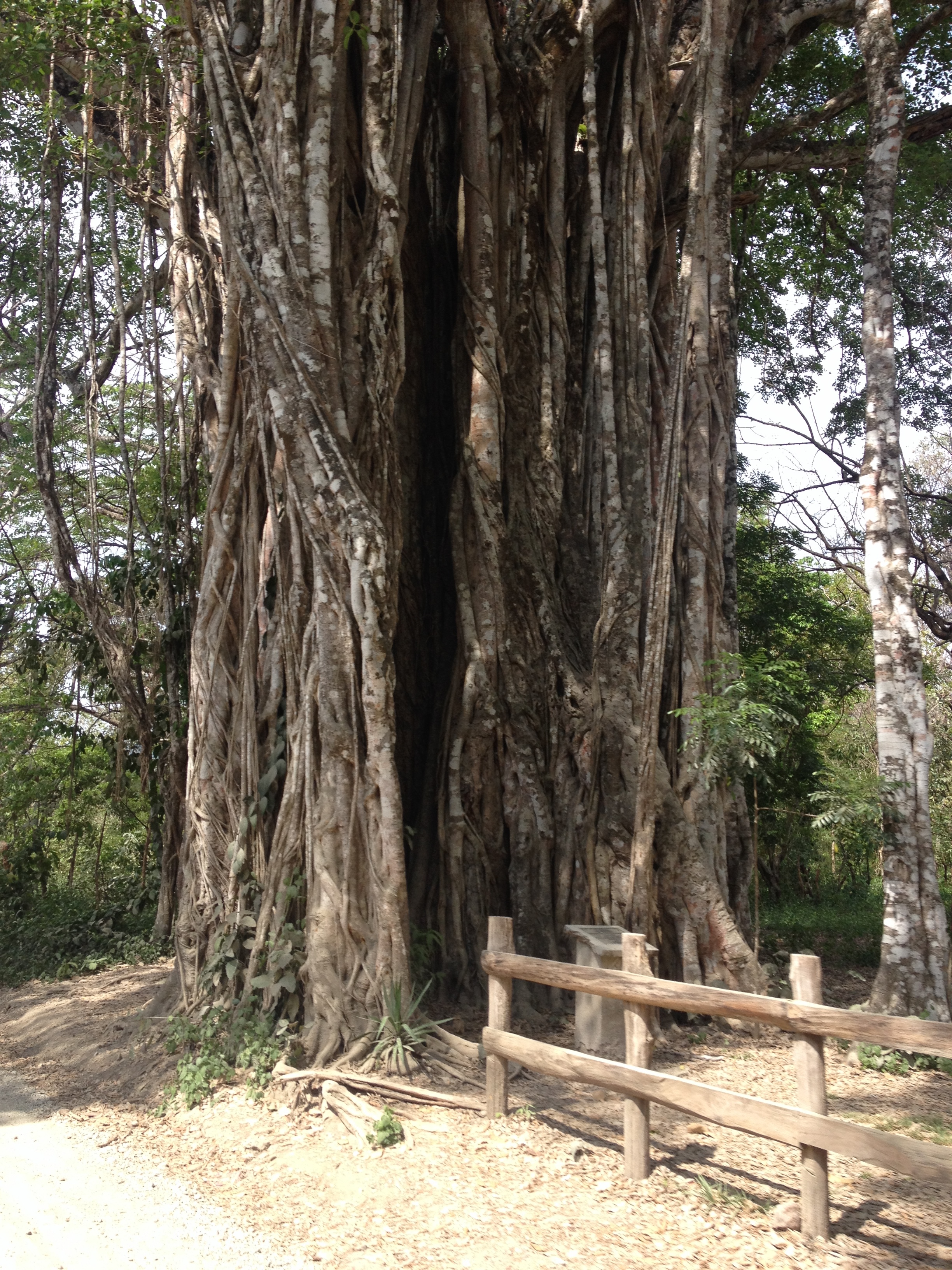 รูปถ่าย คอสตาริกา(Costa Rica) 2015-03 42