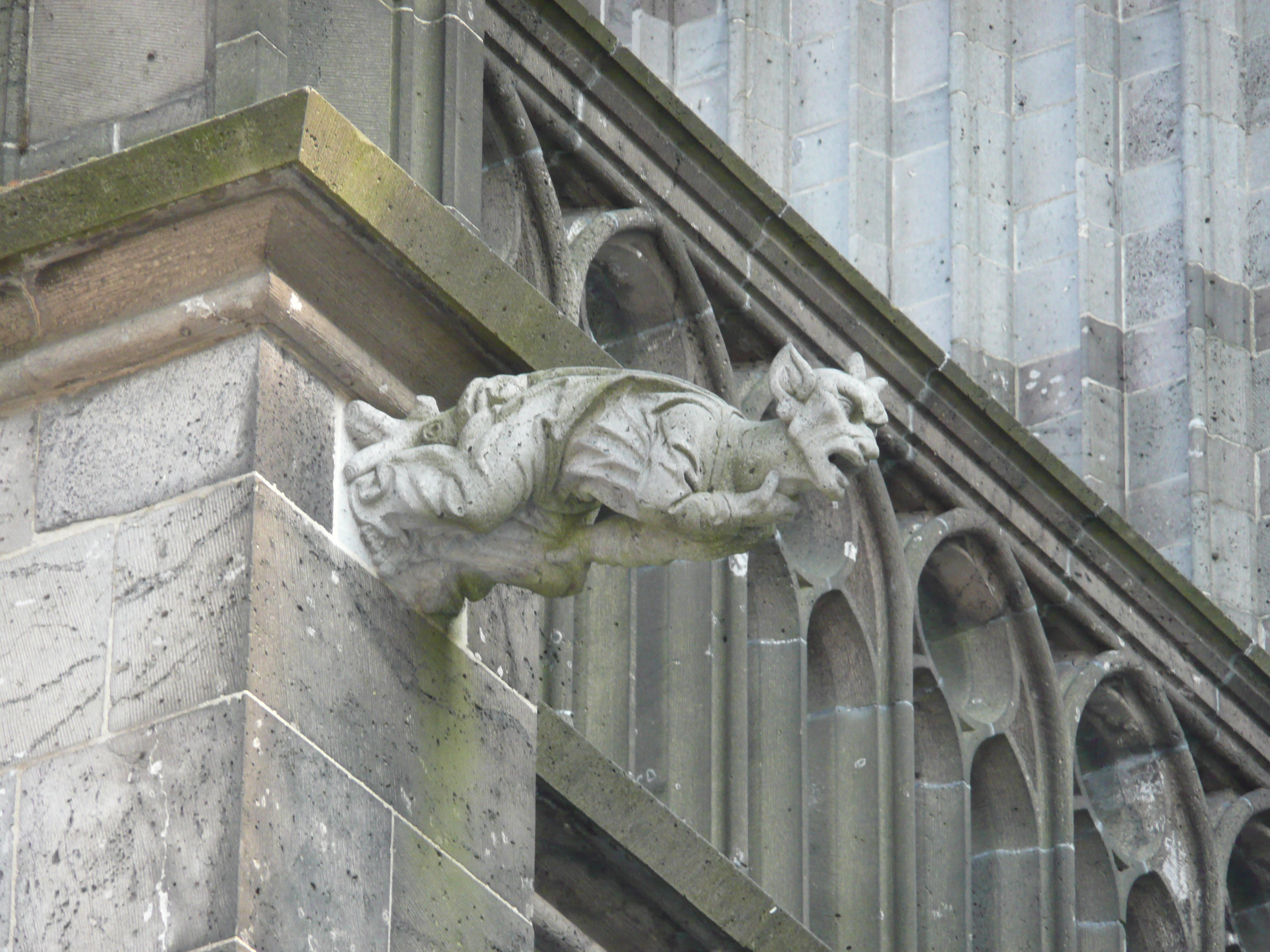รูปถ่าย เยอรมนี(Germany) โคลอเนียล(Cologne) โบสถ์(Cathedral) 2007-05 141