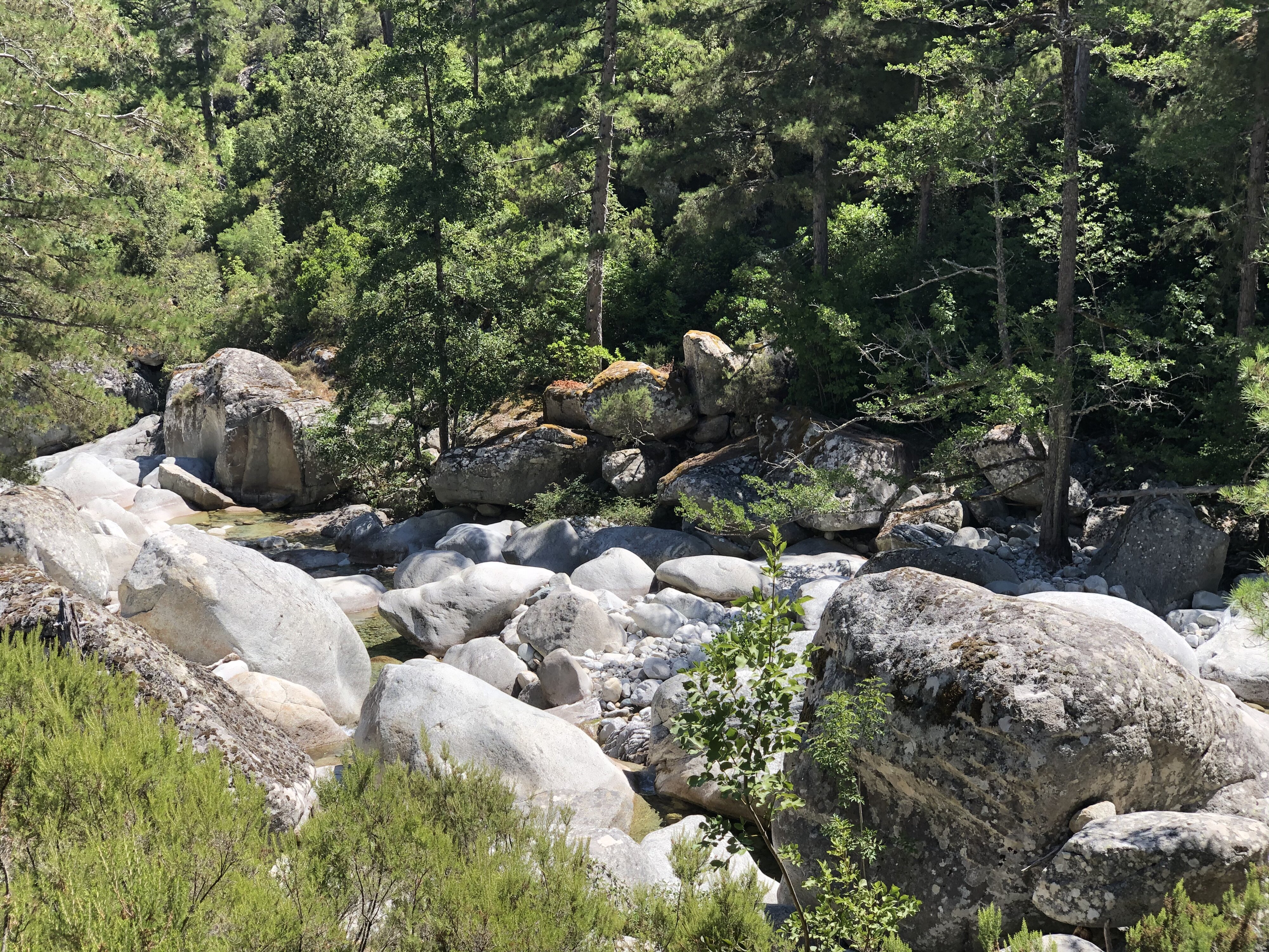 รูปถ่าย ฝรั่งเศส(France) คอร์สิคา(Corsica) หุบเขาลาเรสโตนีกา(La Restonica) 2020-07 138