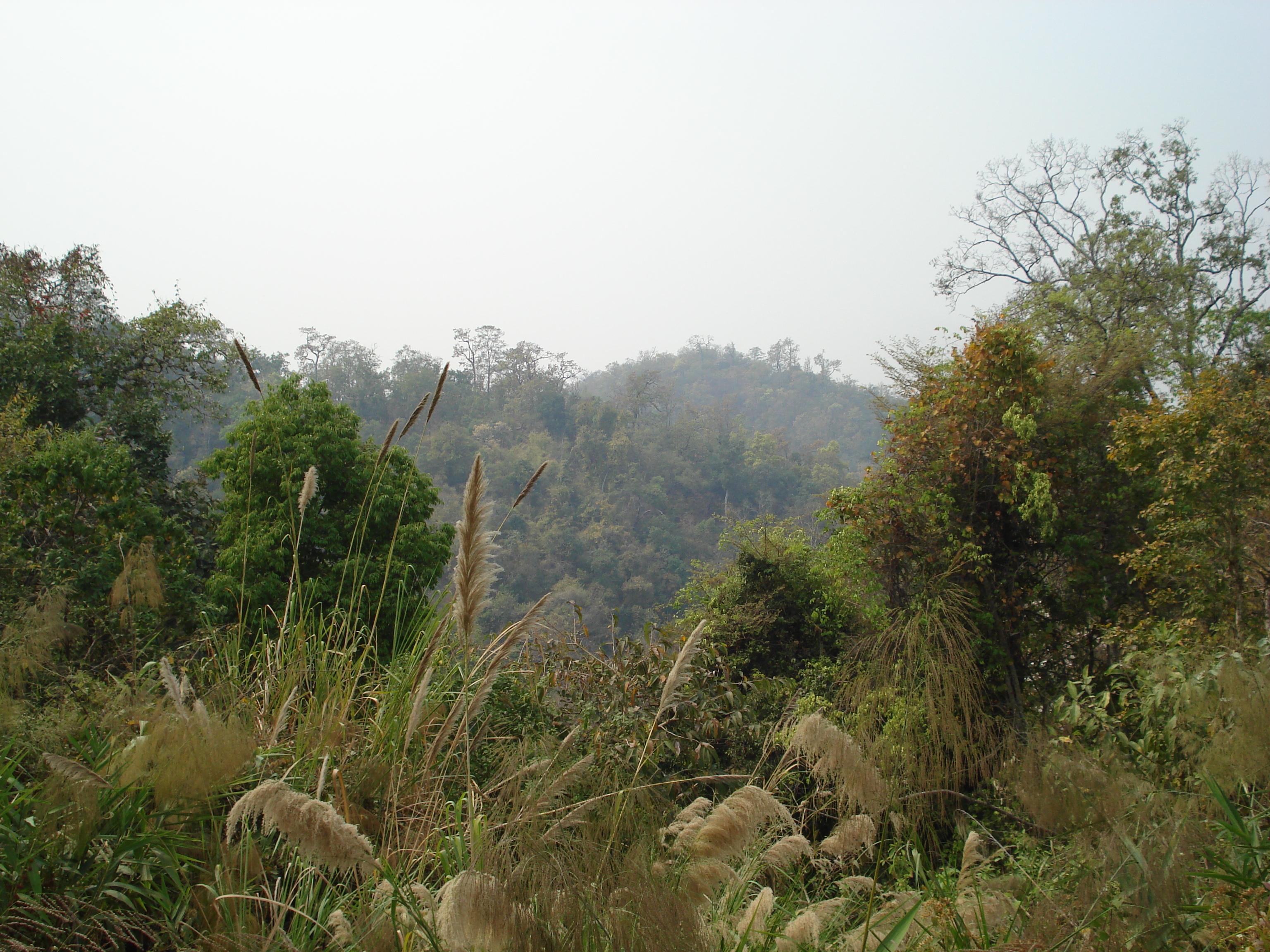 รูปถ่าย ไทย(Thailand) ถนนจากเชียงใหม่ไปปาย(Chiang Mai to Pai road) 2007-02 126