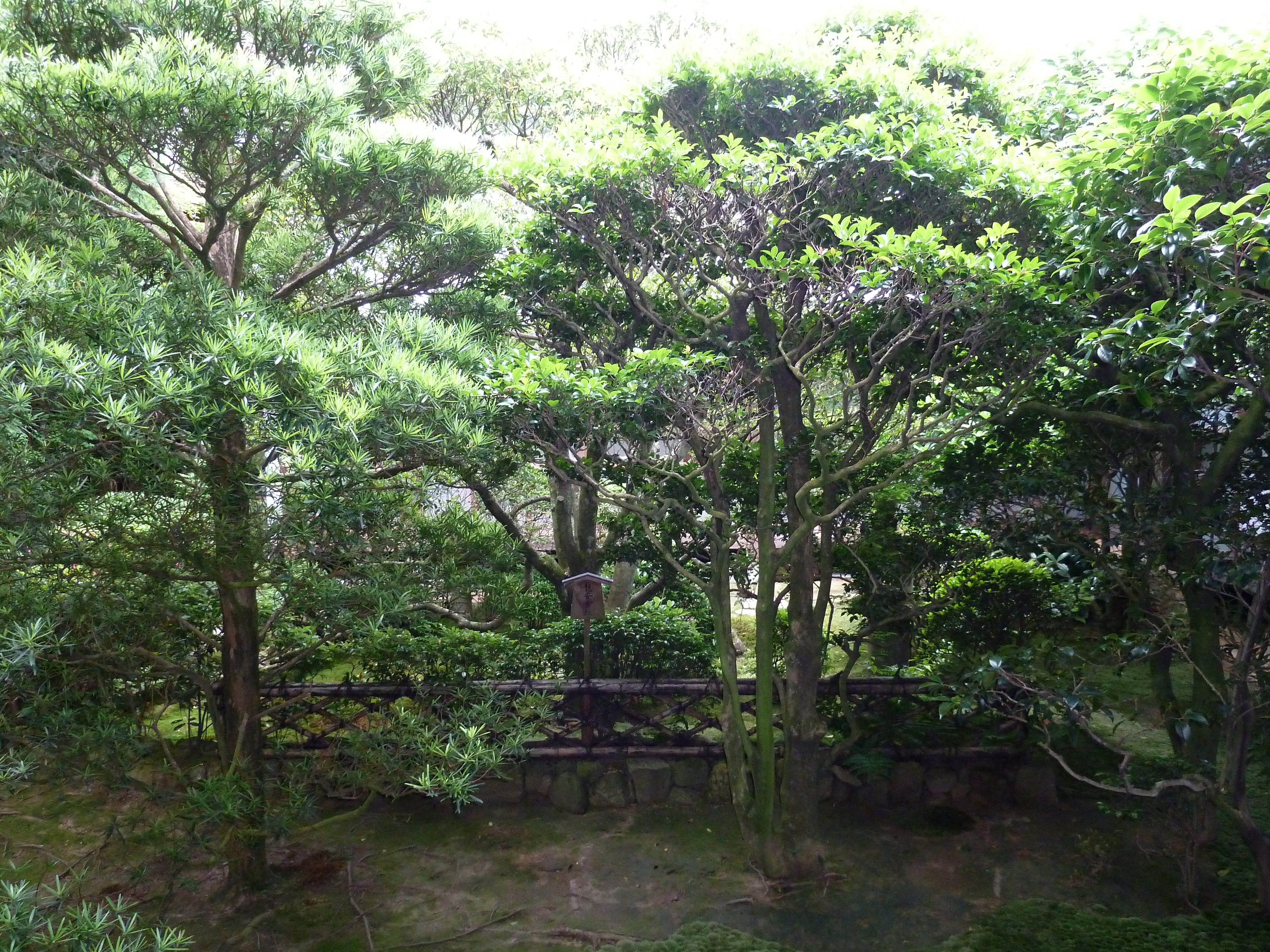 รูปถ่าย ญี่ปุ่น(Japan) เกียวโต(Kyoto) วัดเรียวอันจิ(Ryoanji Temple) 2010-06 19