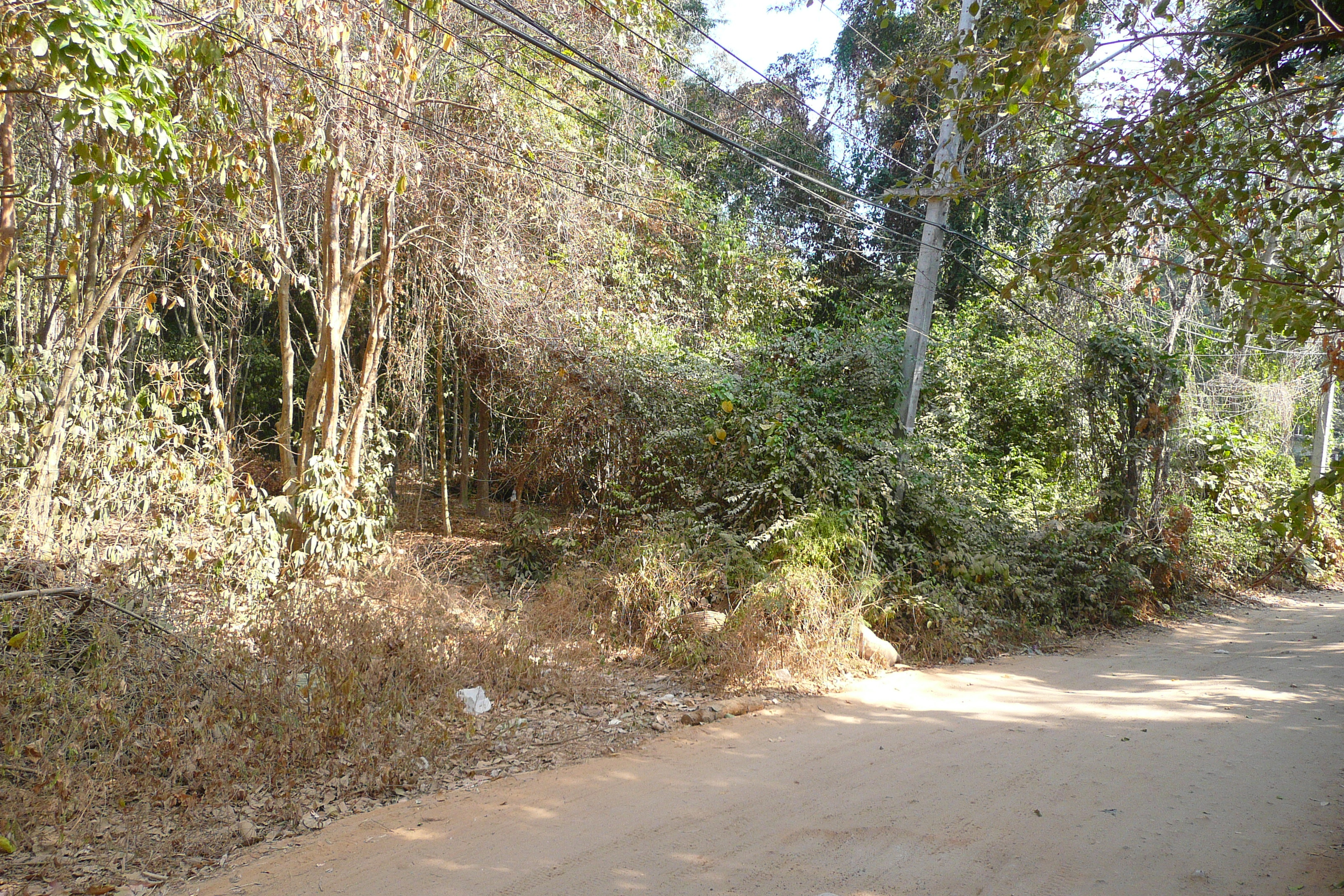 รูปถ่าย ไทย(Thailand) เกาะเสม็ด(Ko Samet) อ่าวไผ่(Ao Phai) 2009-01 34