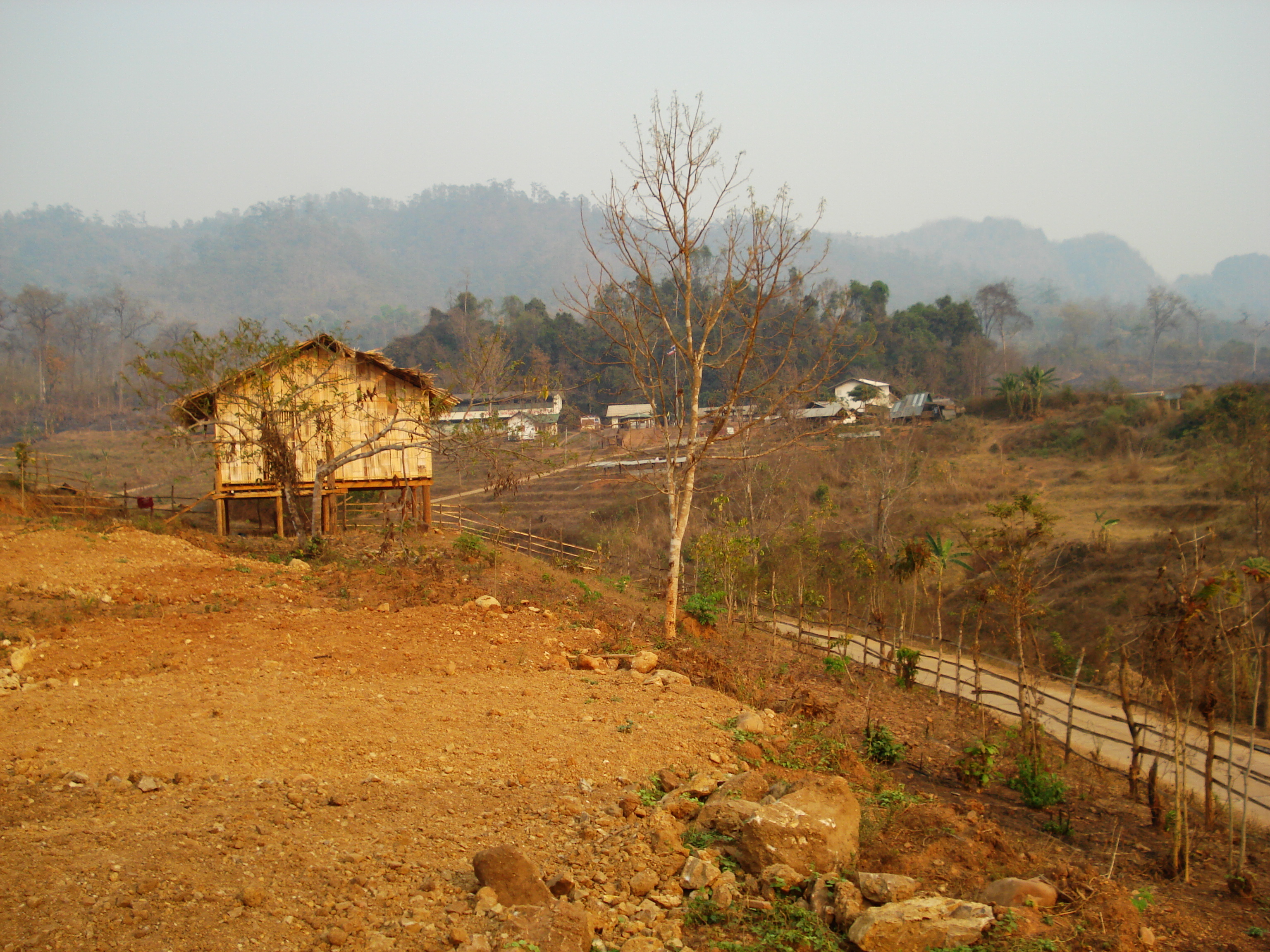 รูปถ่าย ไทย(Thailand) ปางมะผ้า(Pang Mapha) 2007-02 11