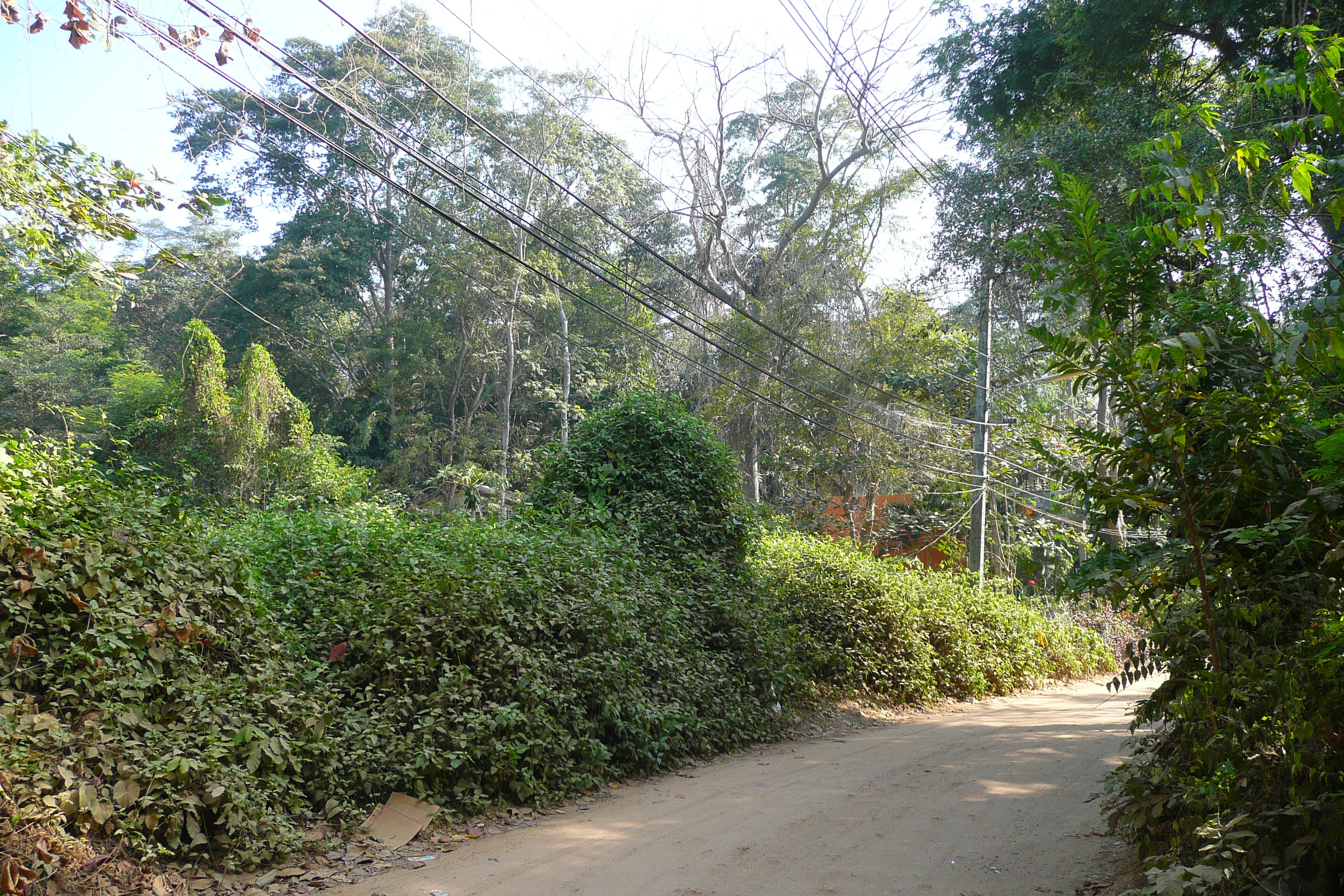 รูปถ่าย ไทย(Thailand) เกาะเสม็ด(Ko Samet) อ่าวไผ่(Ao Phai) 2009-01 39